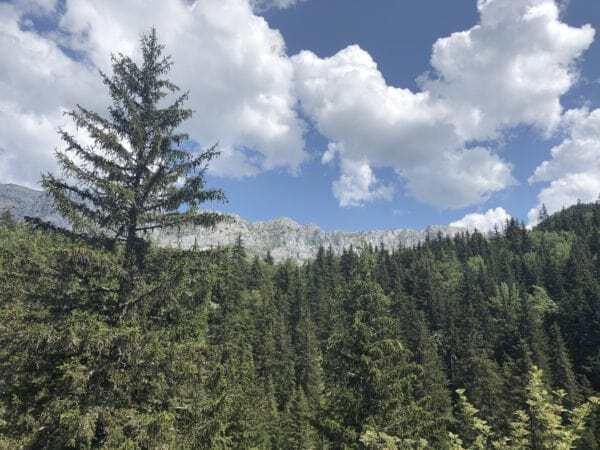 Rando villard de lans 600x450 min