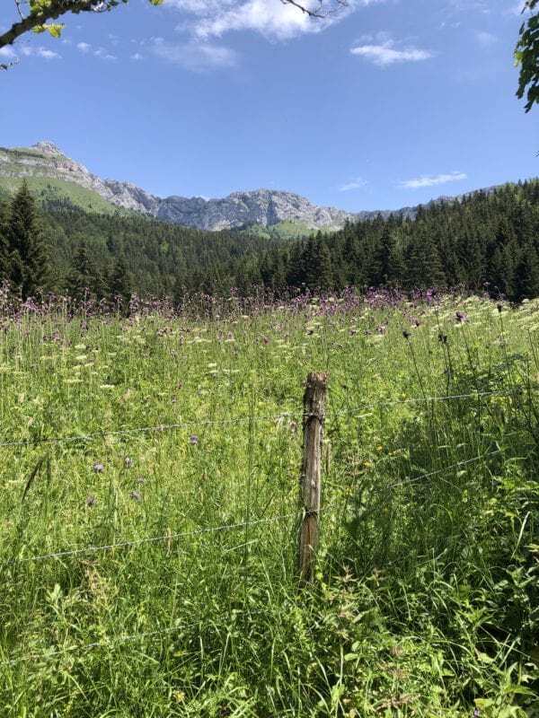 Road trip vercors e1593731083481 600x800 min