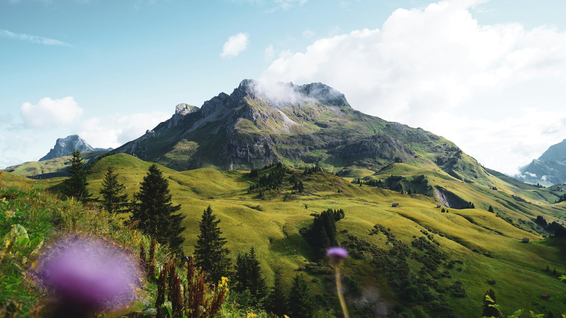 5 bonnes raisons de passer les vacances d'été dans les Alpes