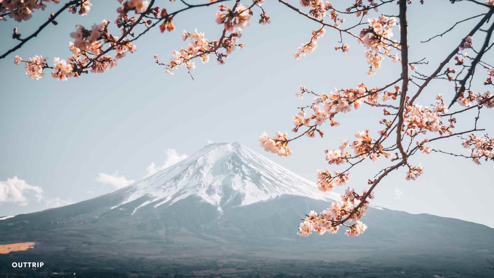 Pourquoi choisir un voyage organisé au Japon ?