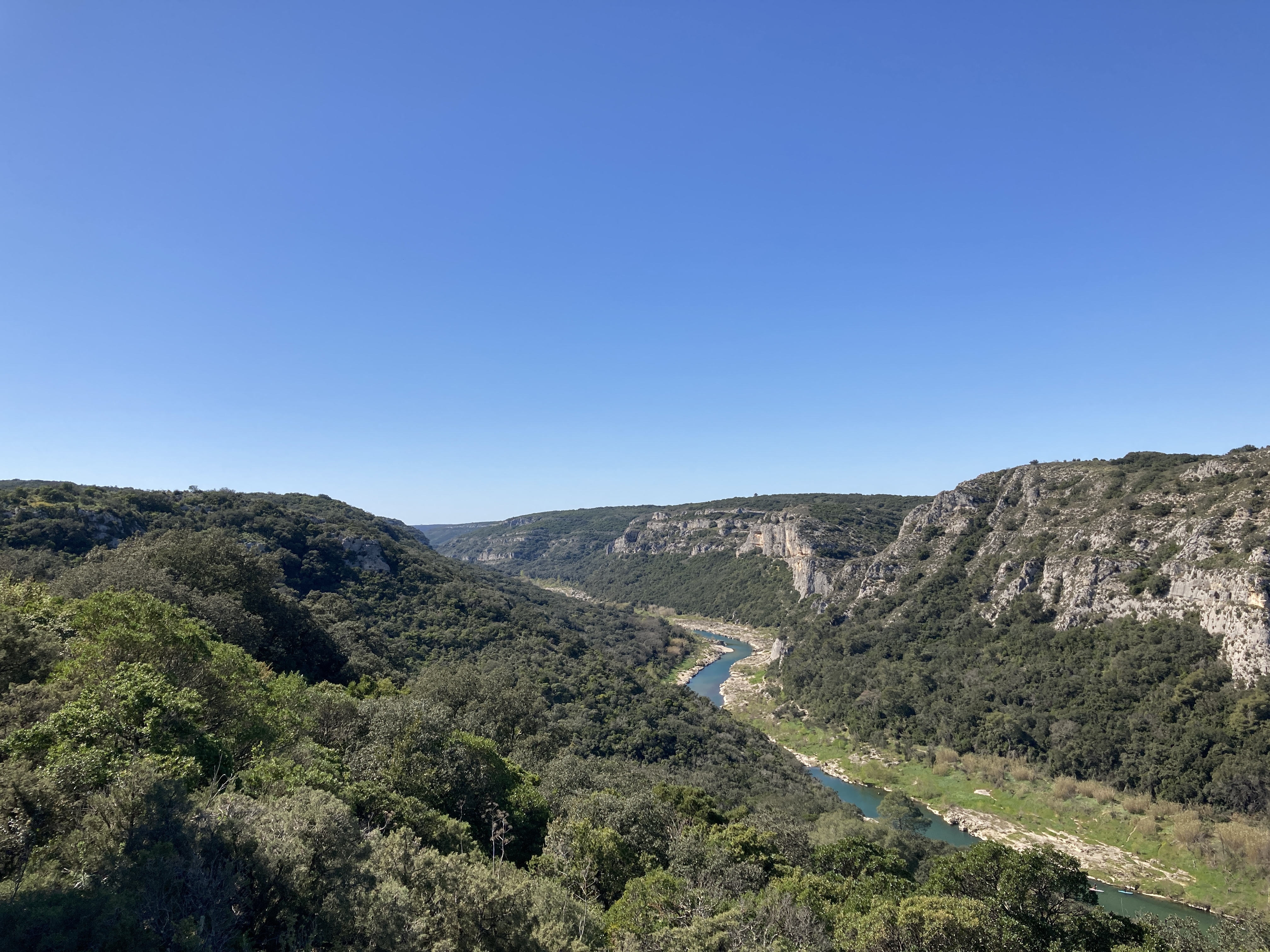 Bois-des-coufines-et-gorges-du-Gardon.jpeg