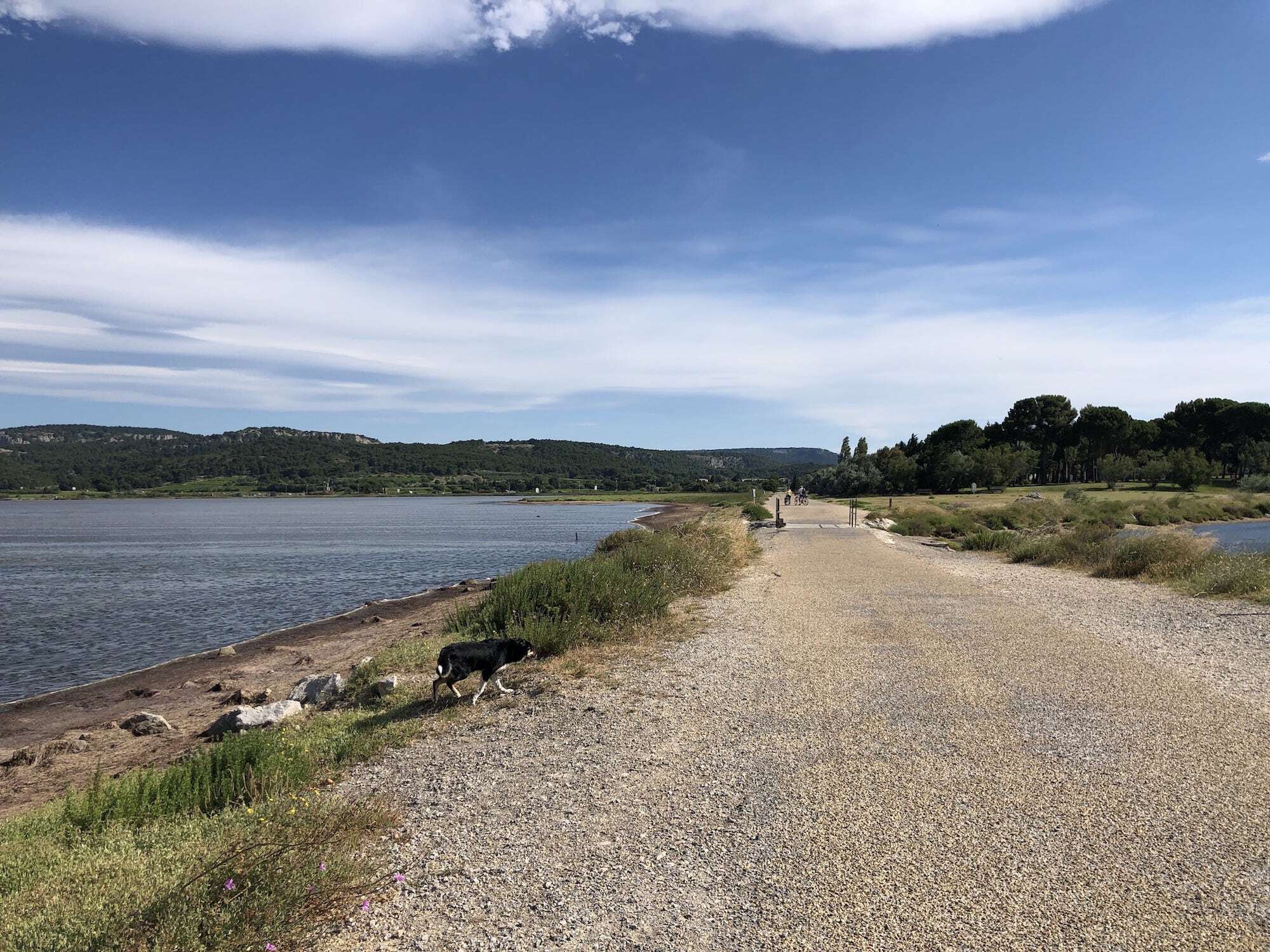 Courir à Gruissan .jpeg