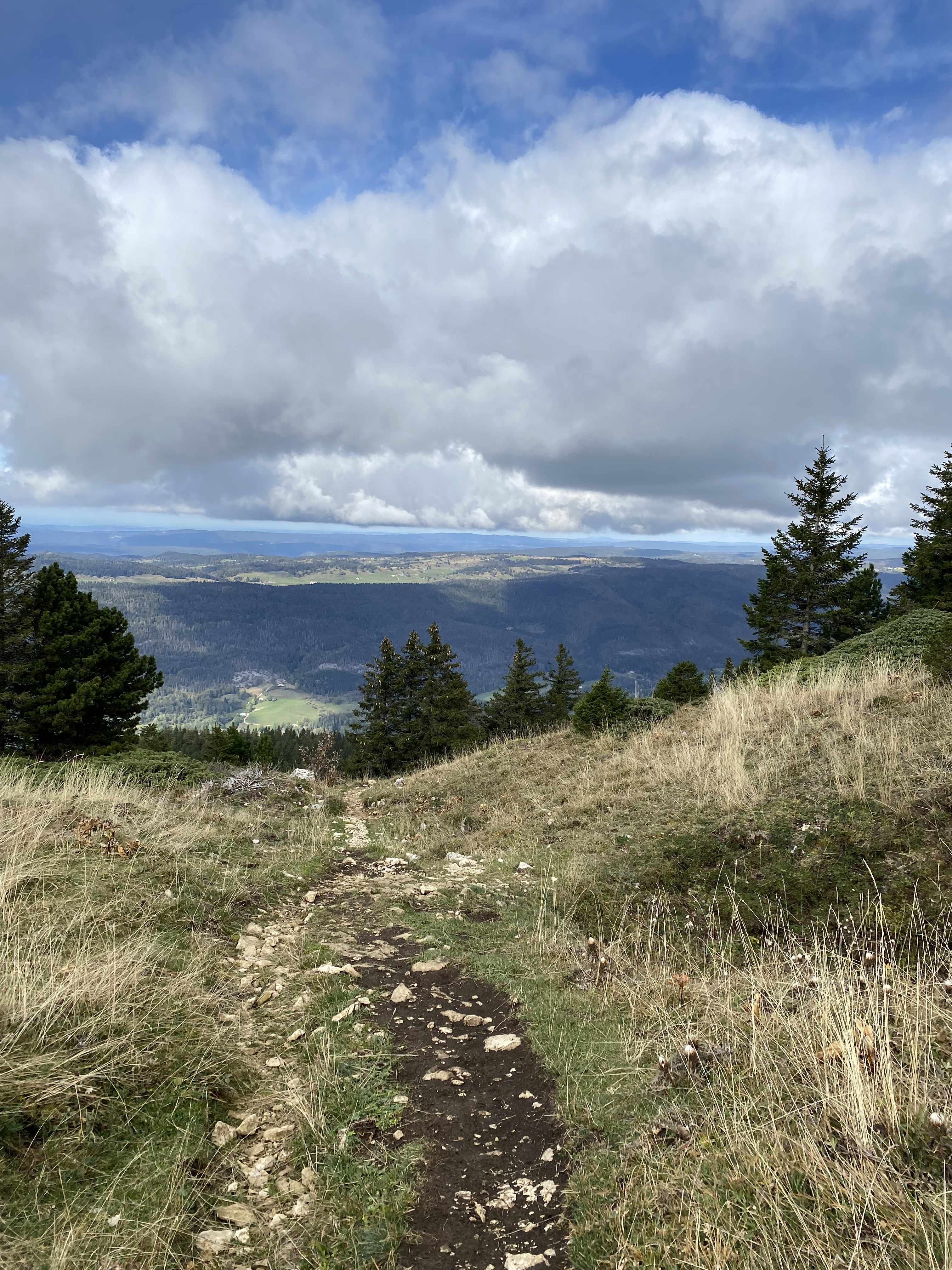 Crêt de la neige depuis Lélex