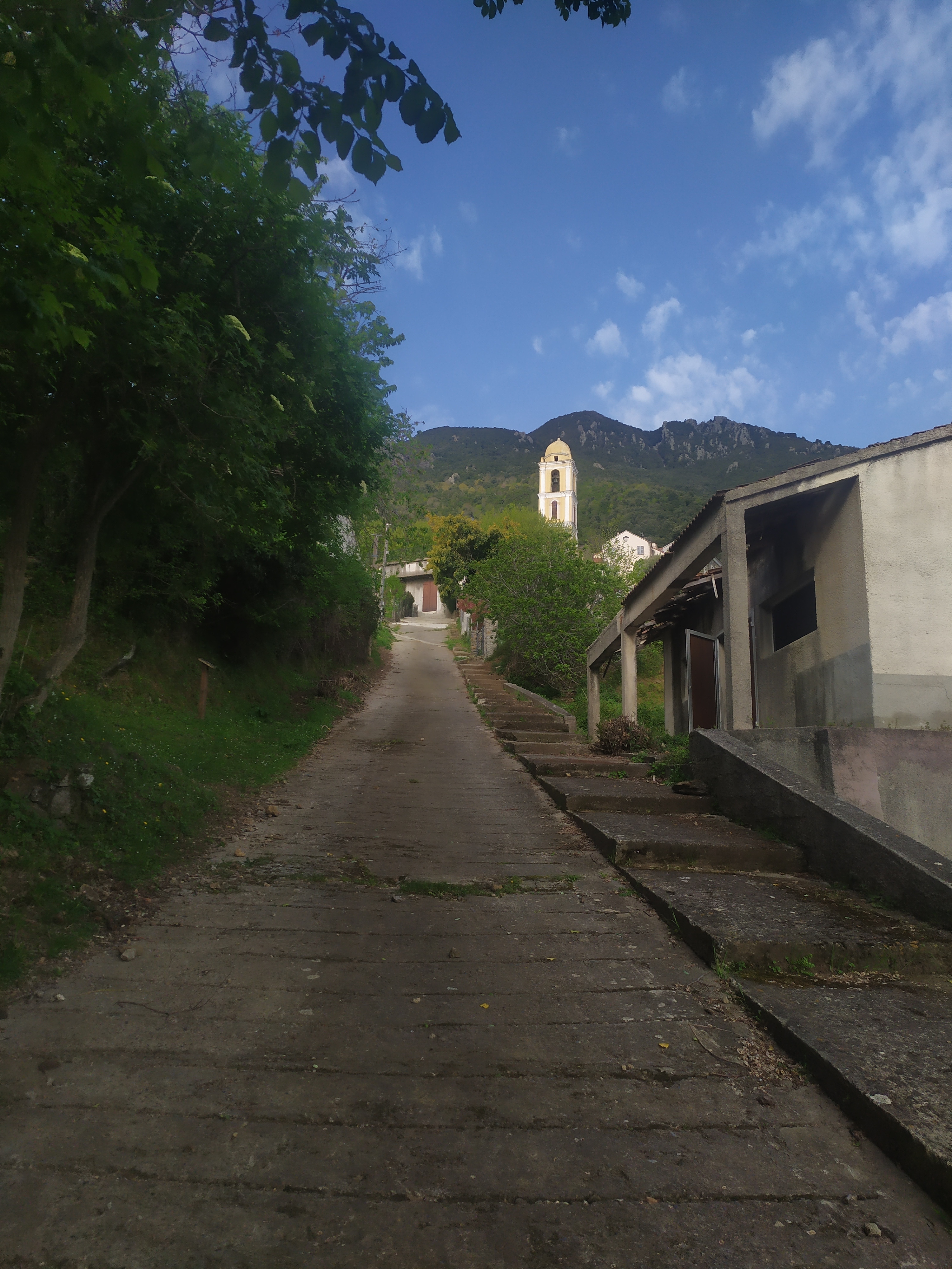 IMG 20210426 0834121