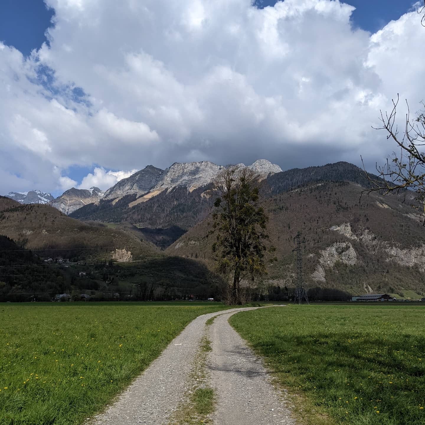 IMG 20210426 100826 491