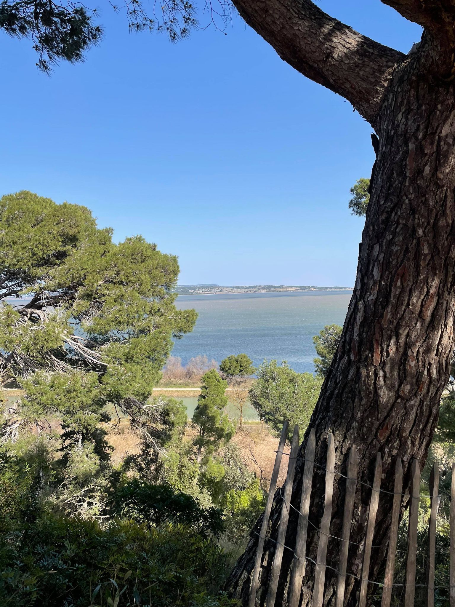 Ile sainte Lucie port la nouvelle