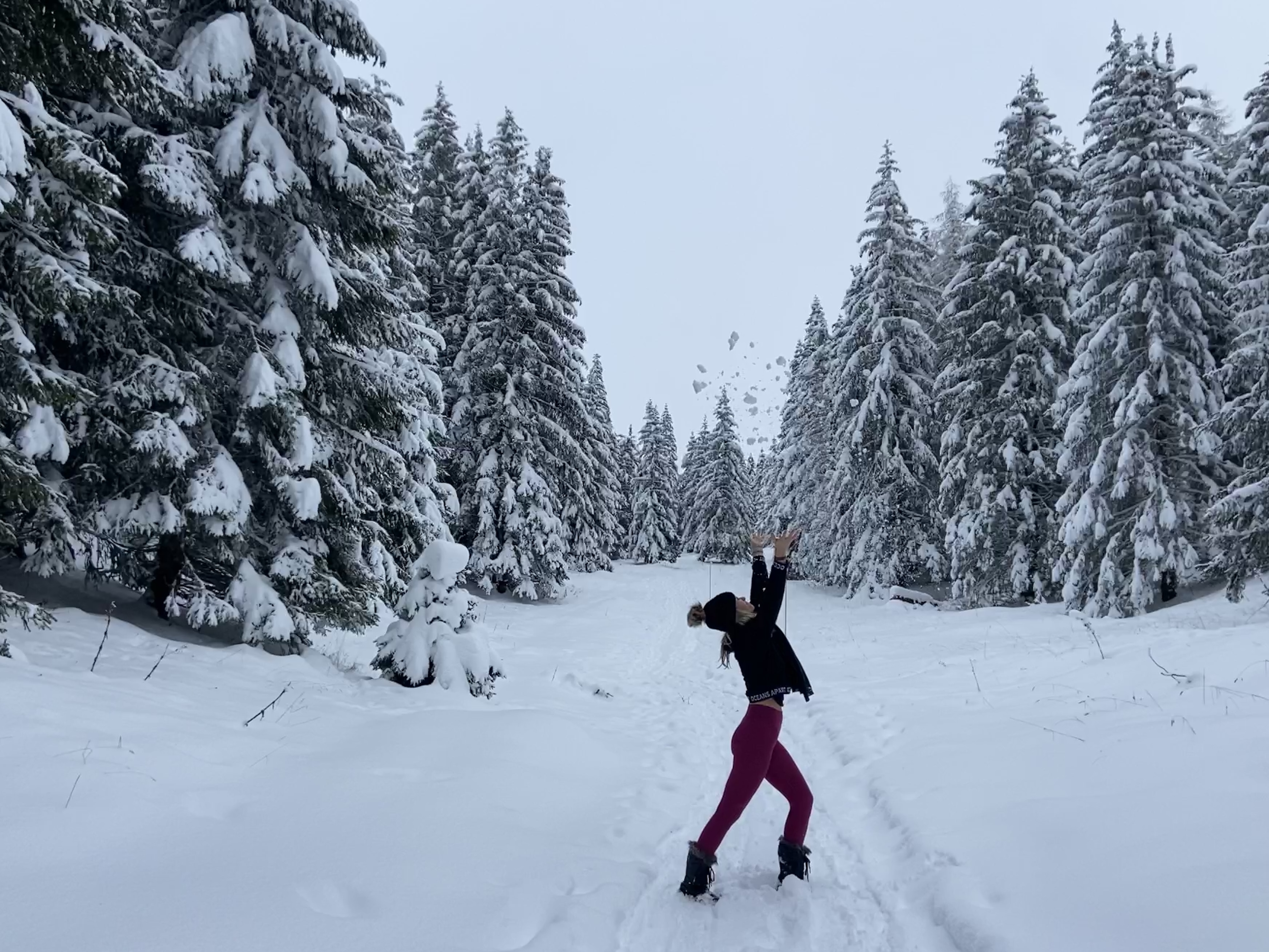 Itinéraire de Randonnée Raquettes Belvedere-du-Turet