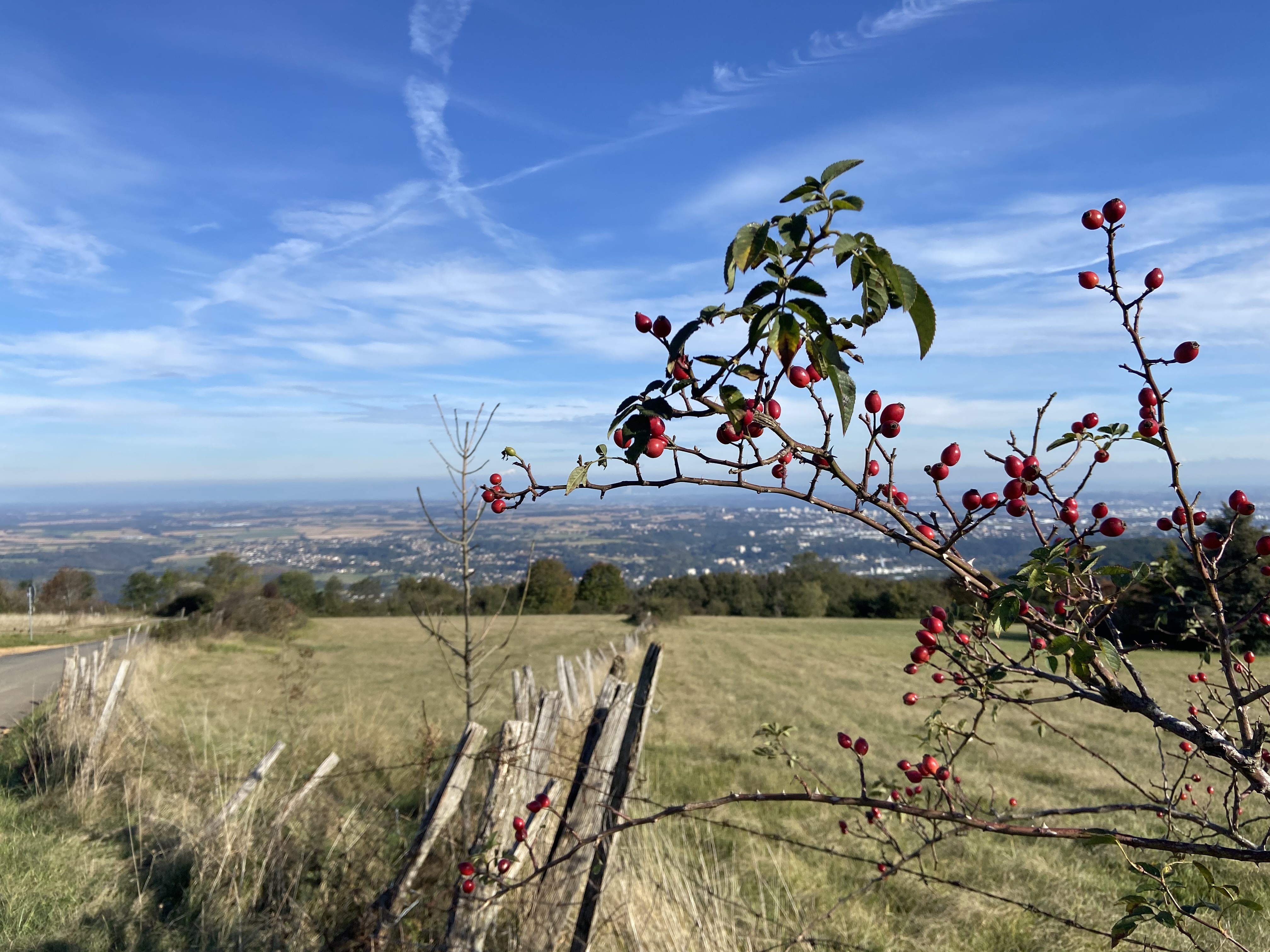 Itinéraire vélo des Monts d'Or, Lyon