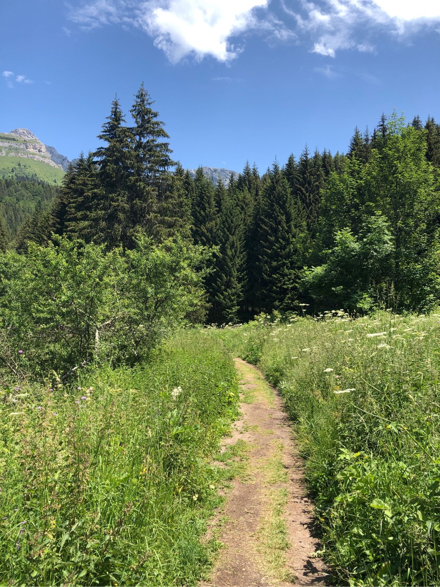 Le vallon de la Fauge 4