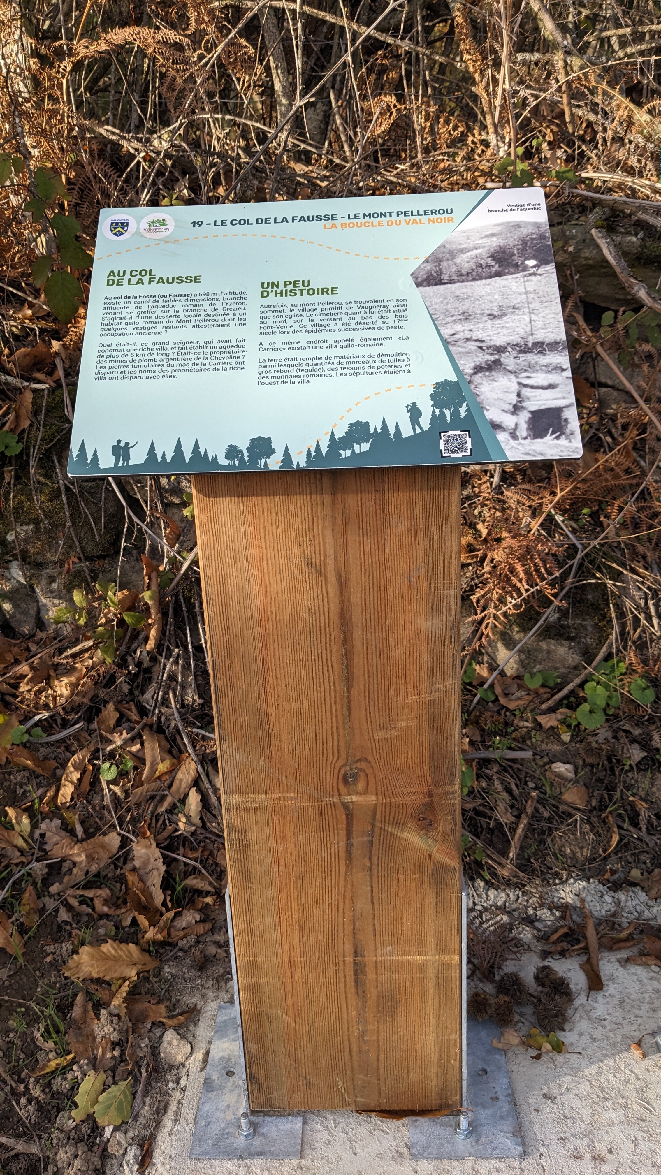 PXL 20231126 135118622