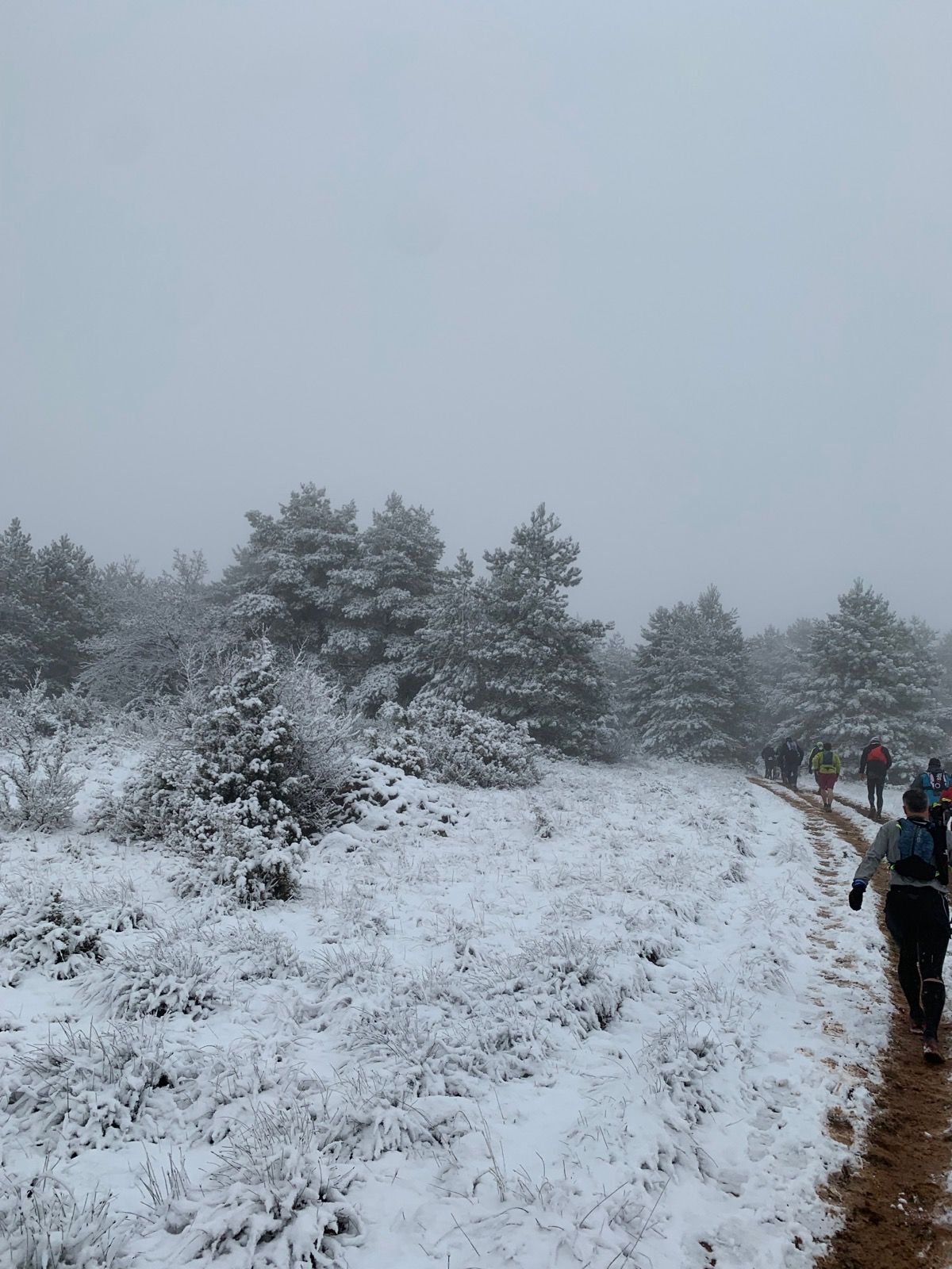 Parcours de Trail Hivernale des Templiers 2021