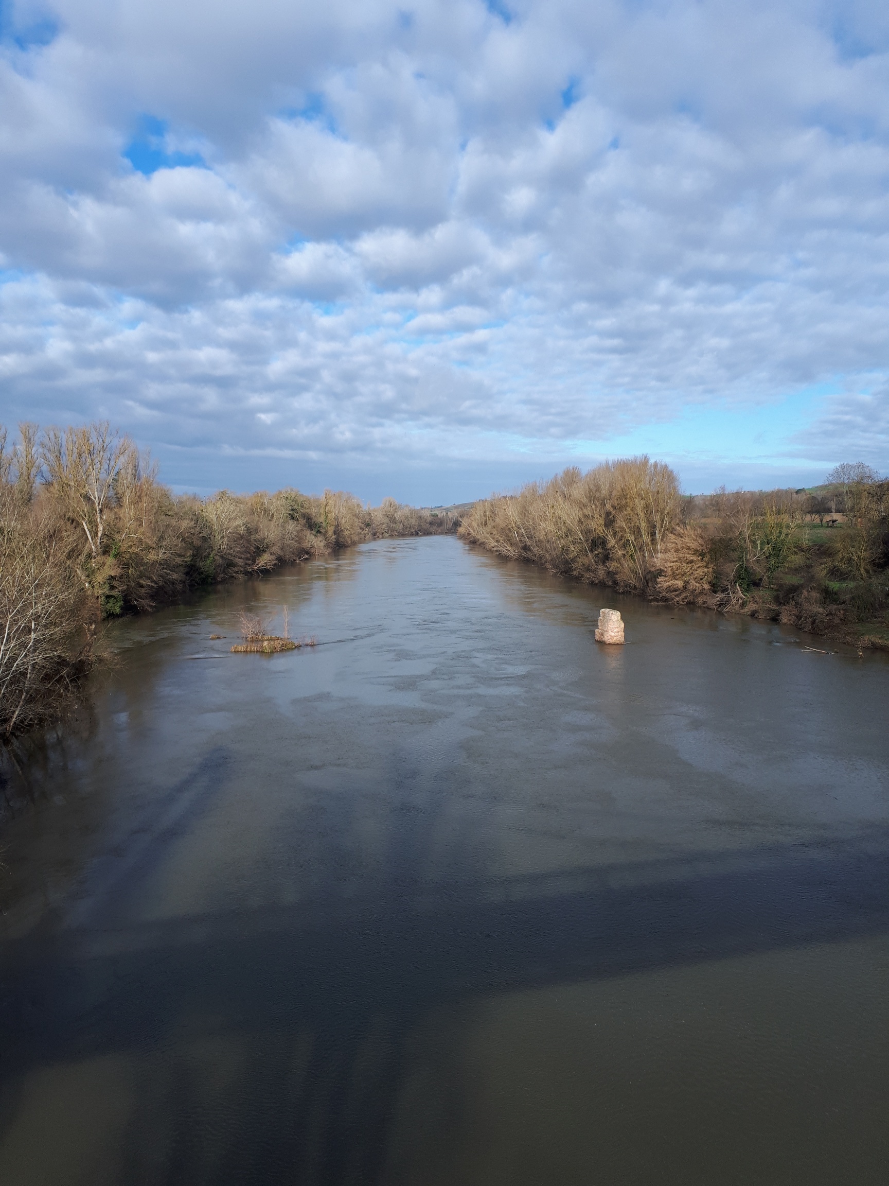 Randonnée Buzet sur Tarn