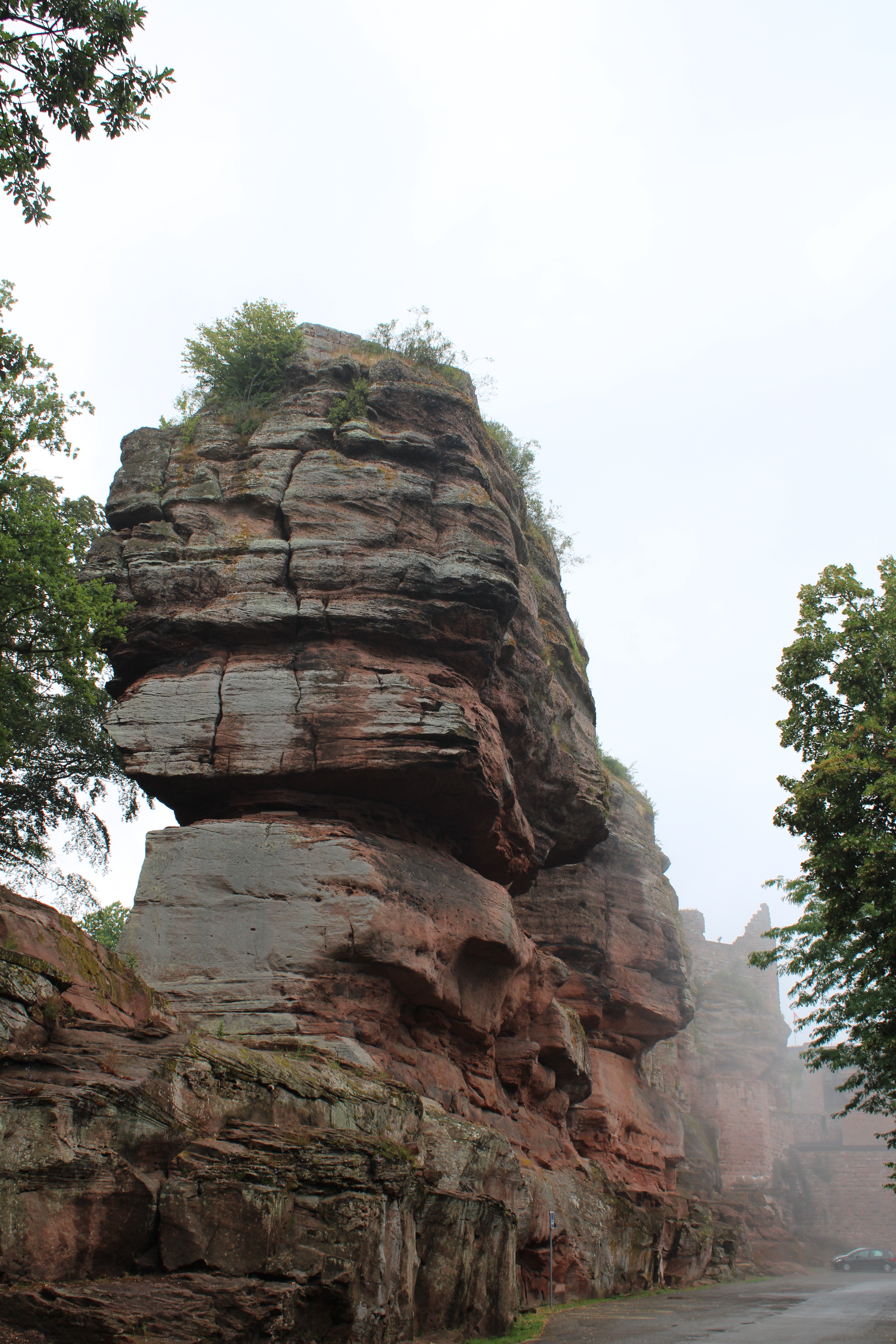 Randonnée Château du Haut Barr