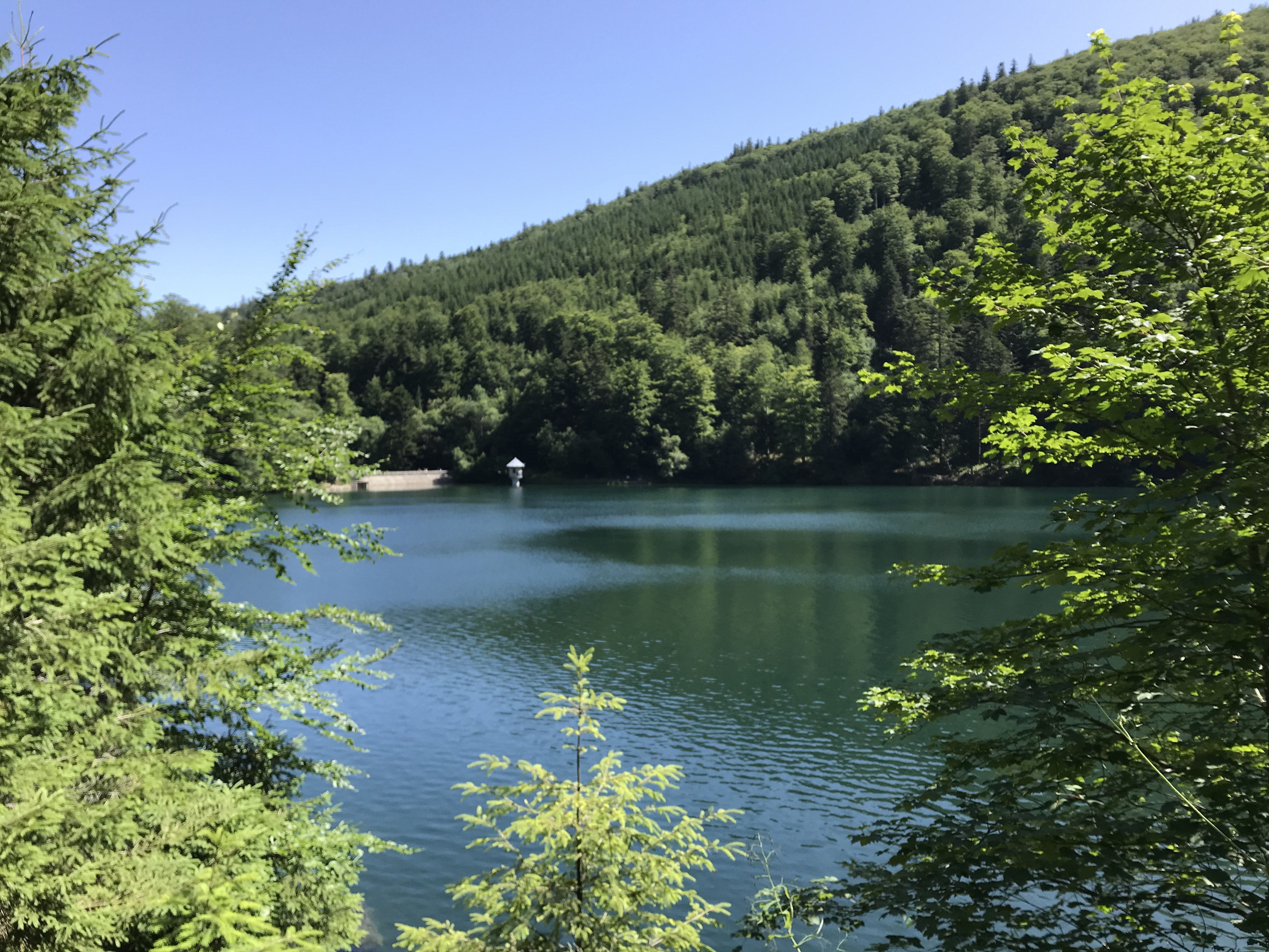 Randonnée Grand Ballon d’Alsace