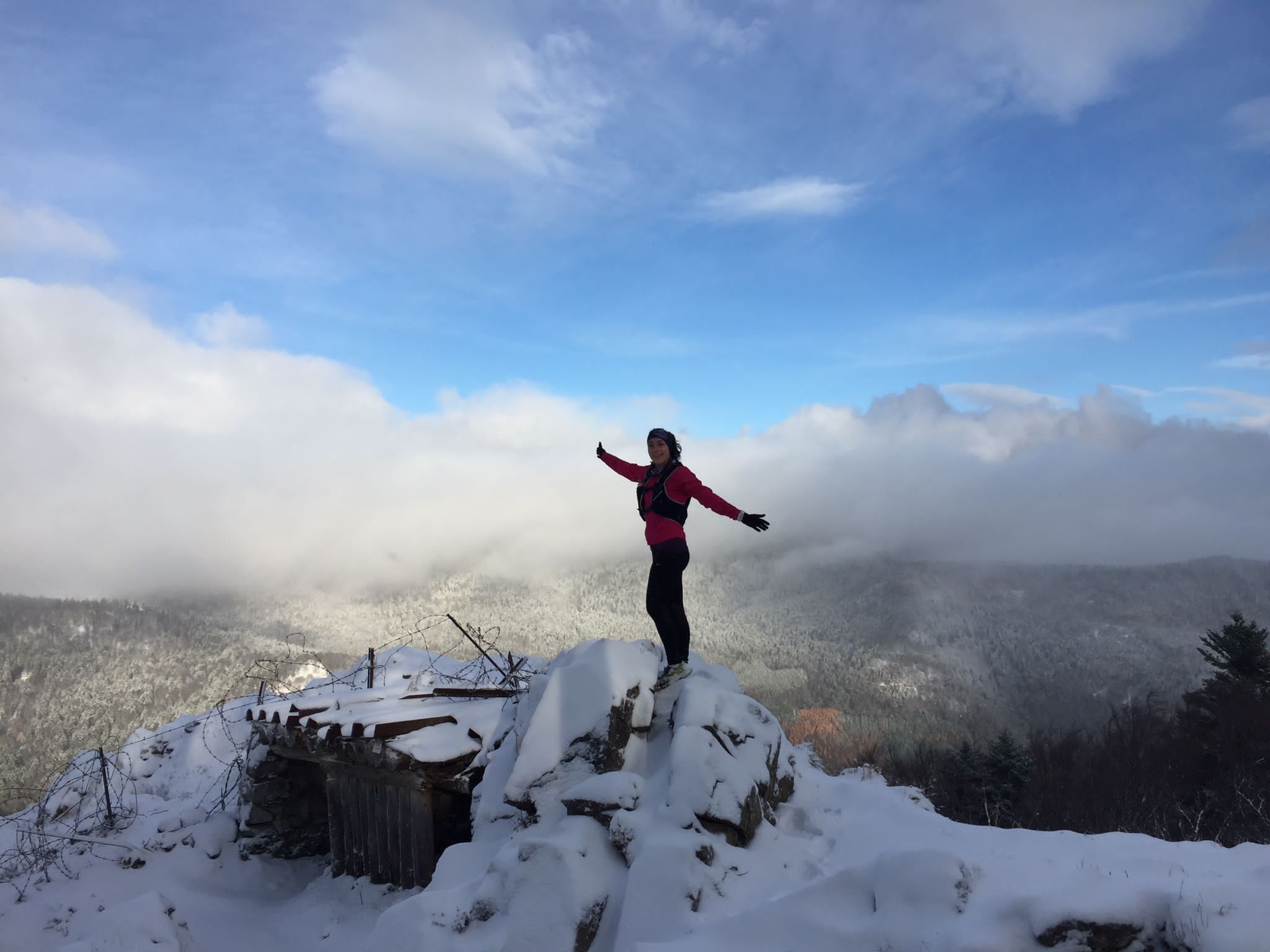 Randonnée Hartmannswillerkopf et ses tranchées et bunkers