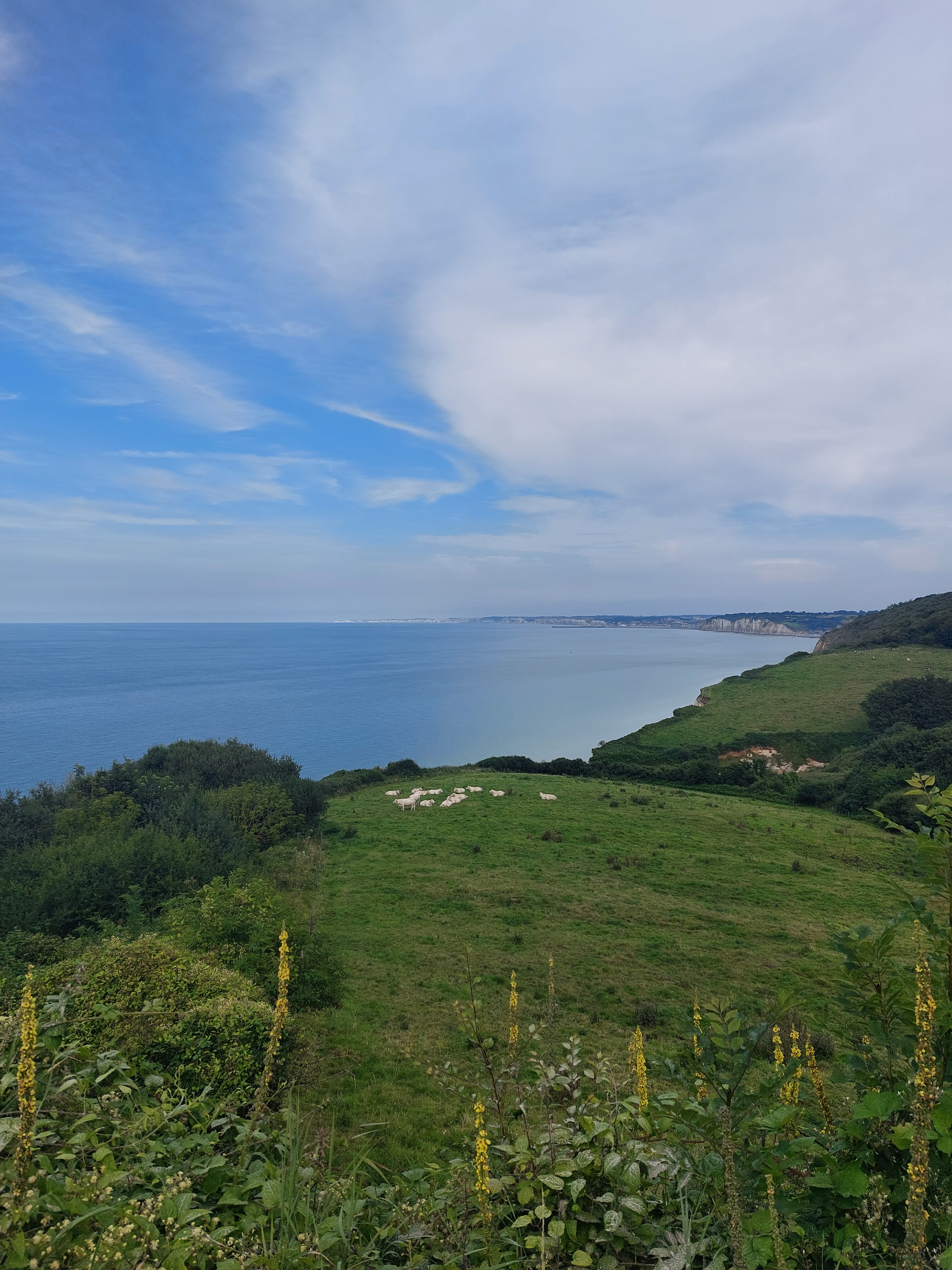 Randonnée Hautot-sur-Mer