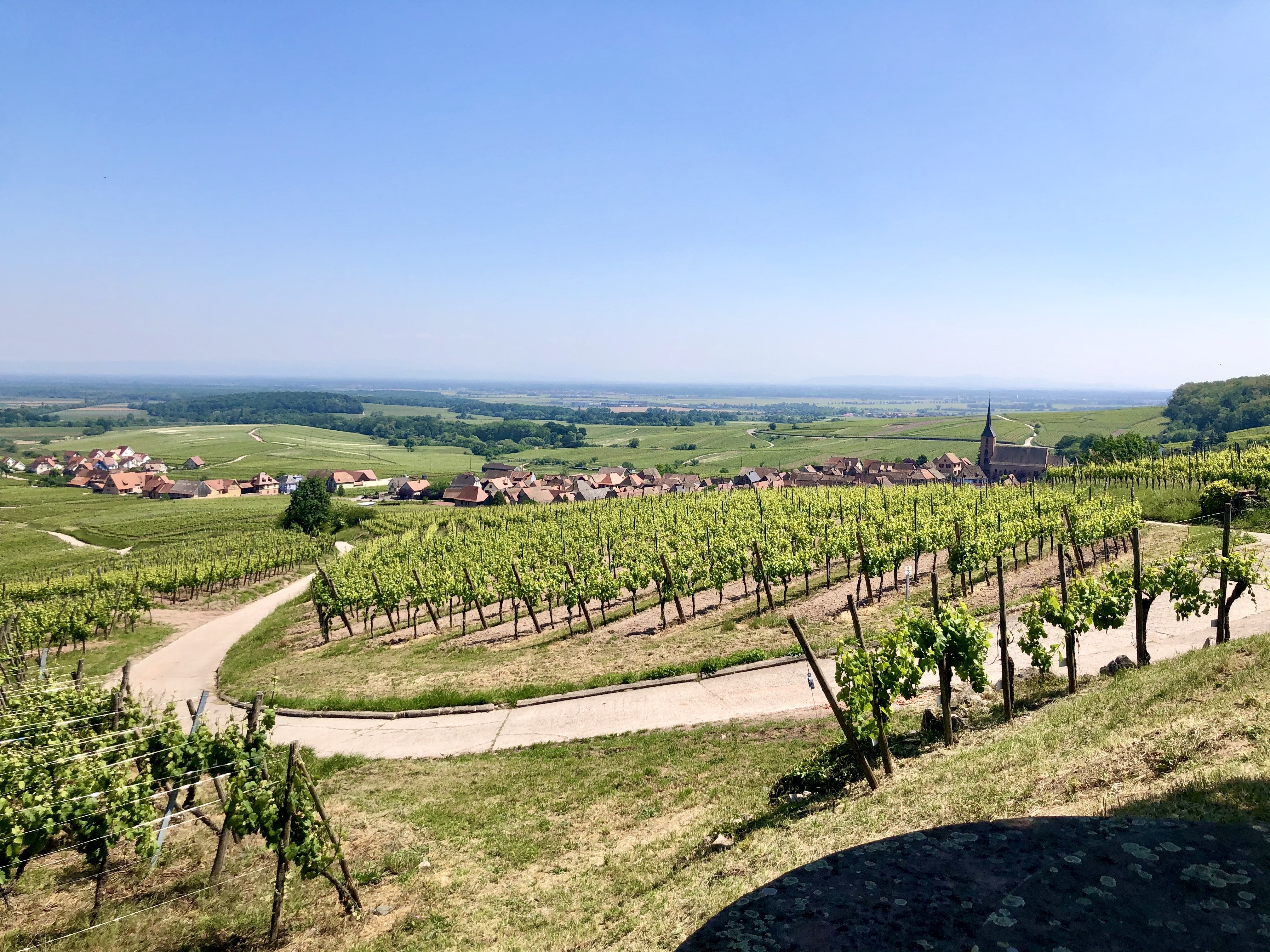 Randonnée Itterswiller