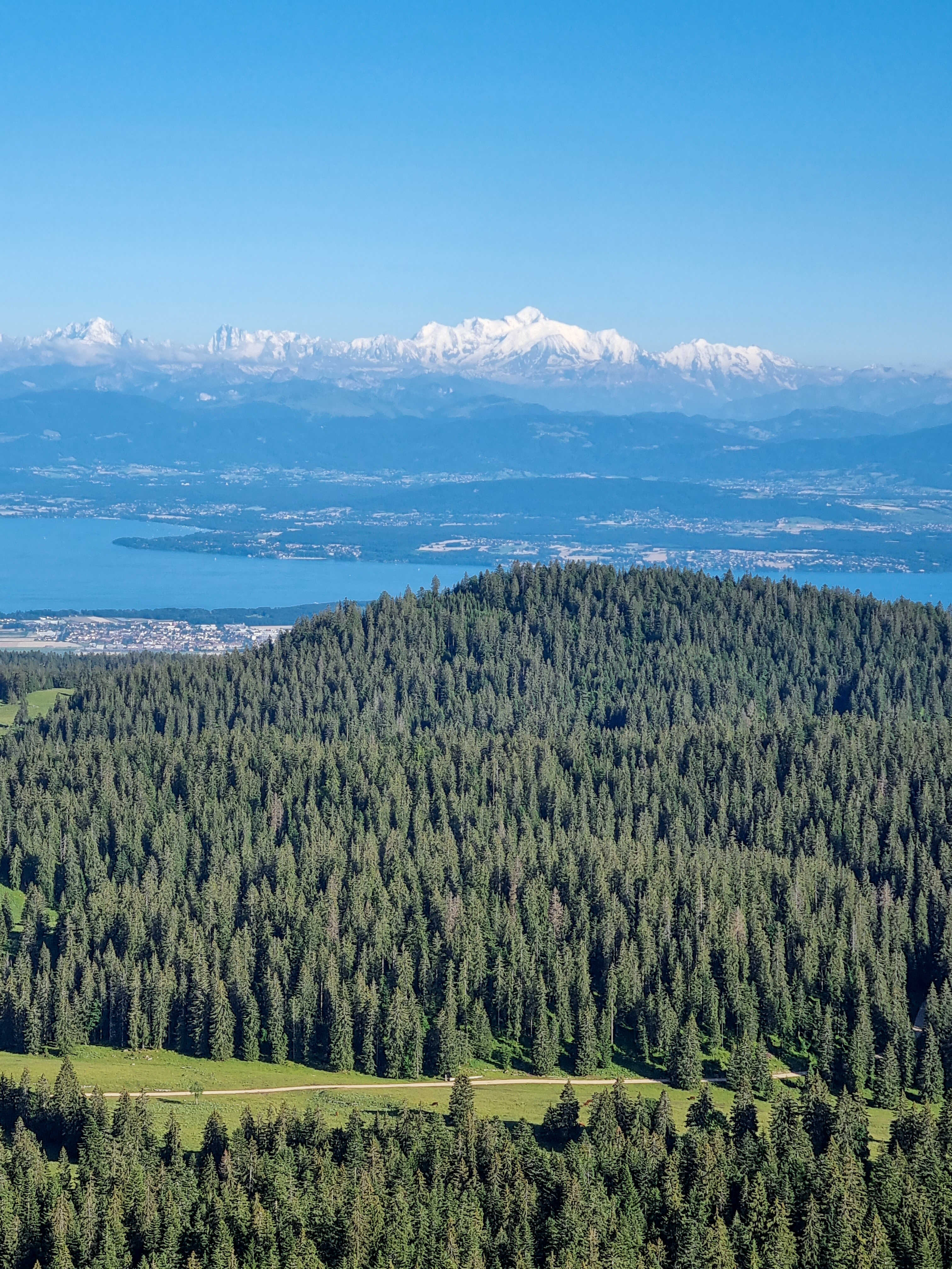 Randonnée Jura le Mont Sala
