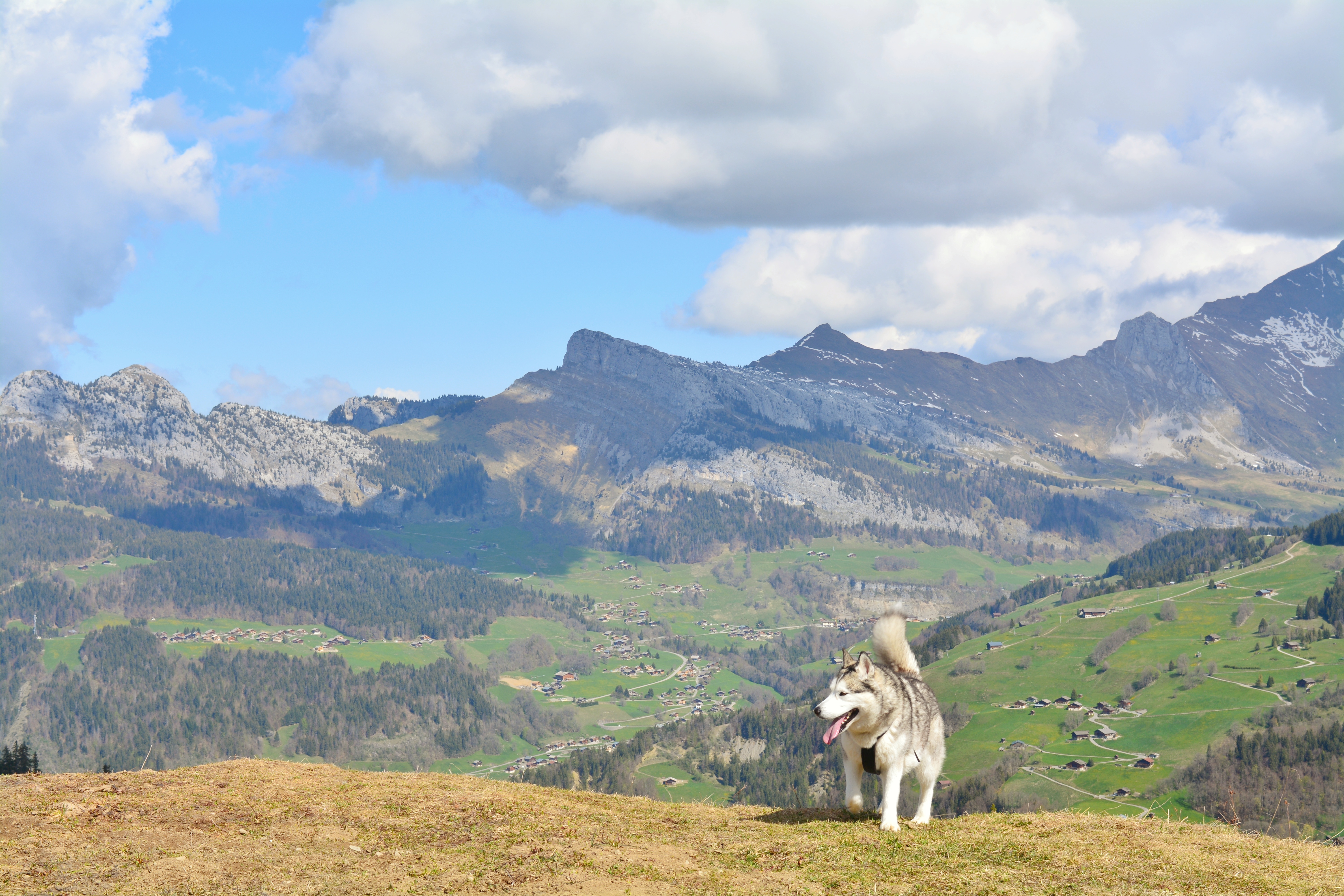 Randonnée La tête du Danay
