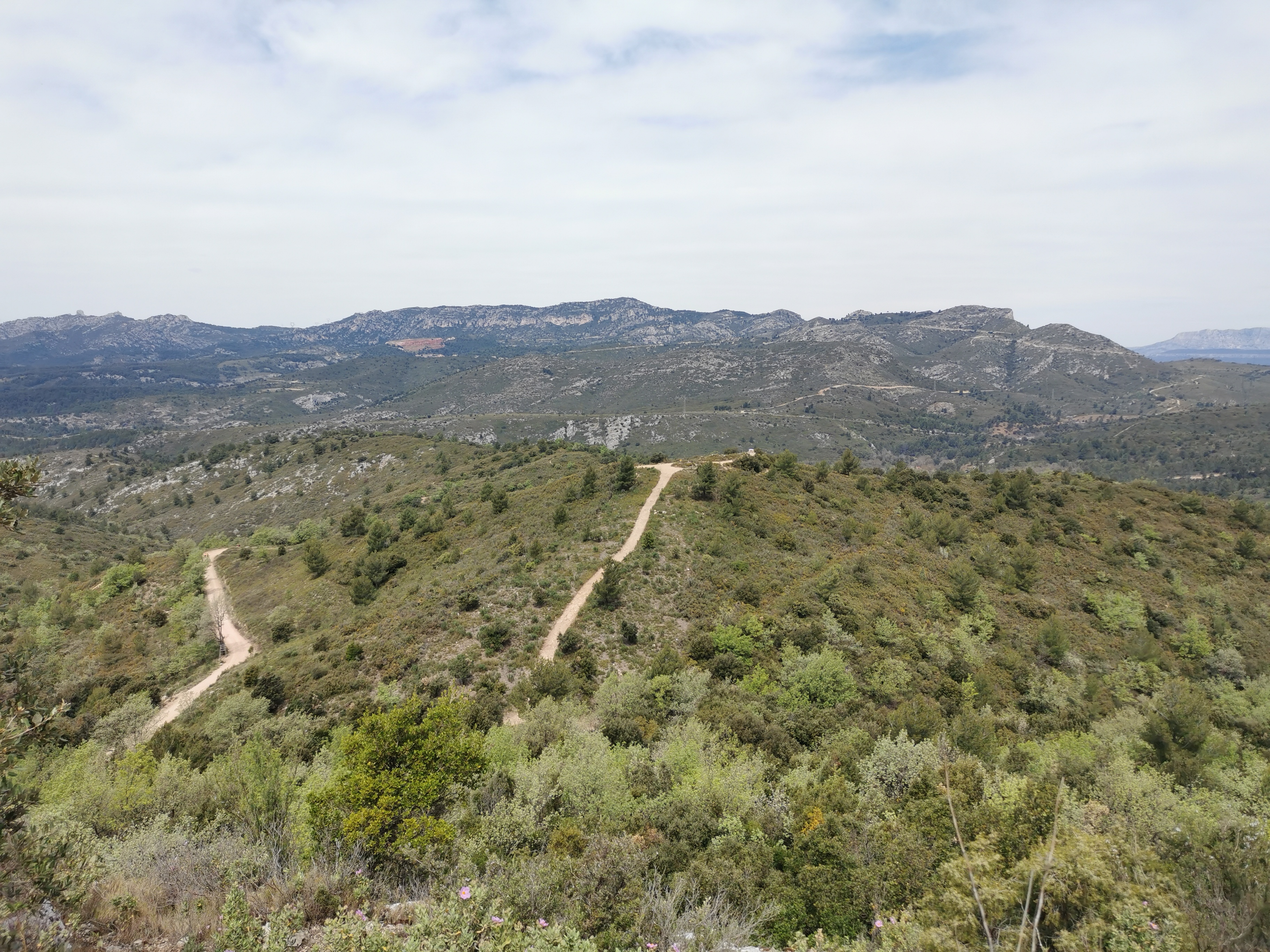 Randonnée Puits-de-L-Aroumi-Parc-departemental-Pichauris.jpeg