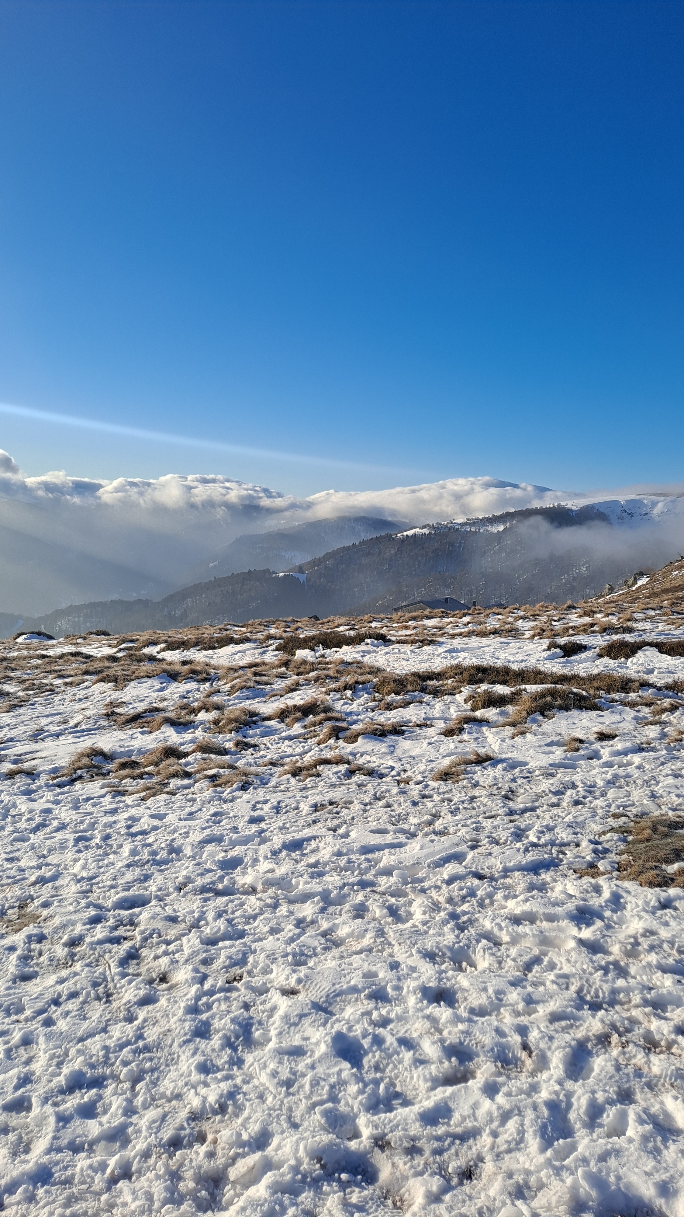 Randonnée Raquettes Le Hohneck