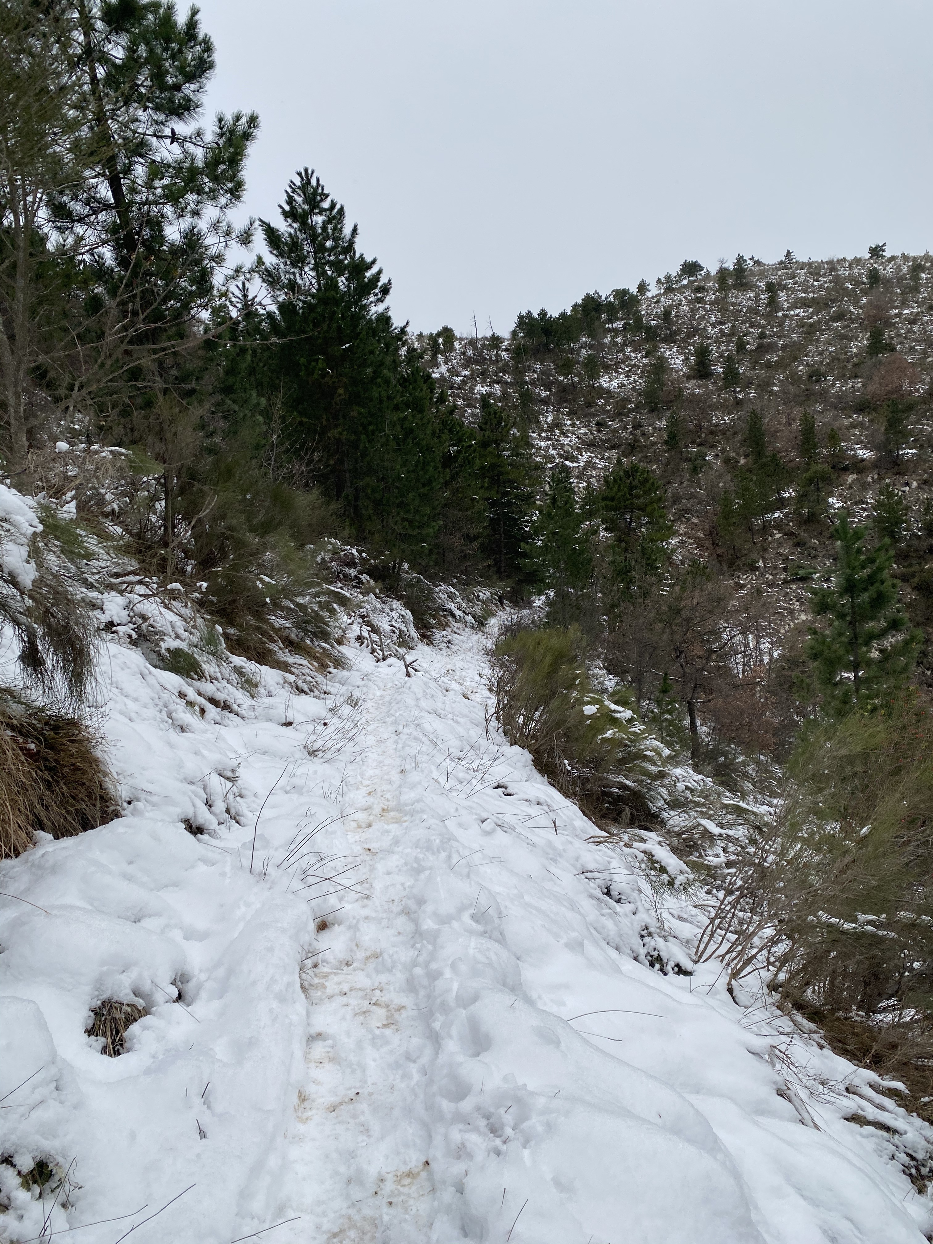 Randonnée Rocca Sparviera