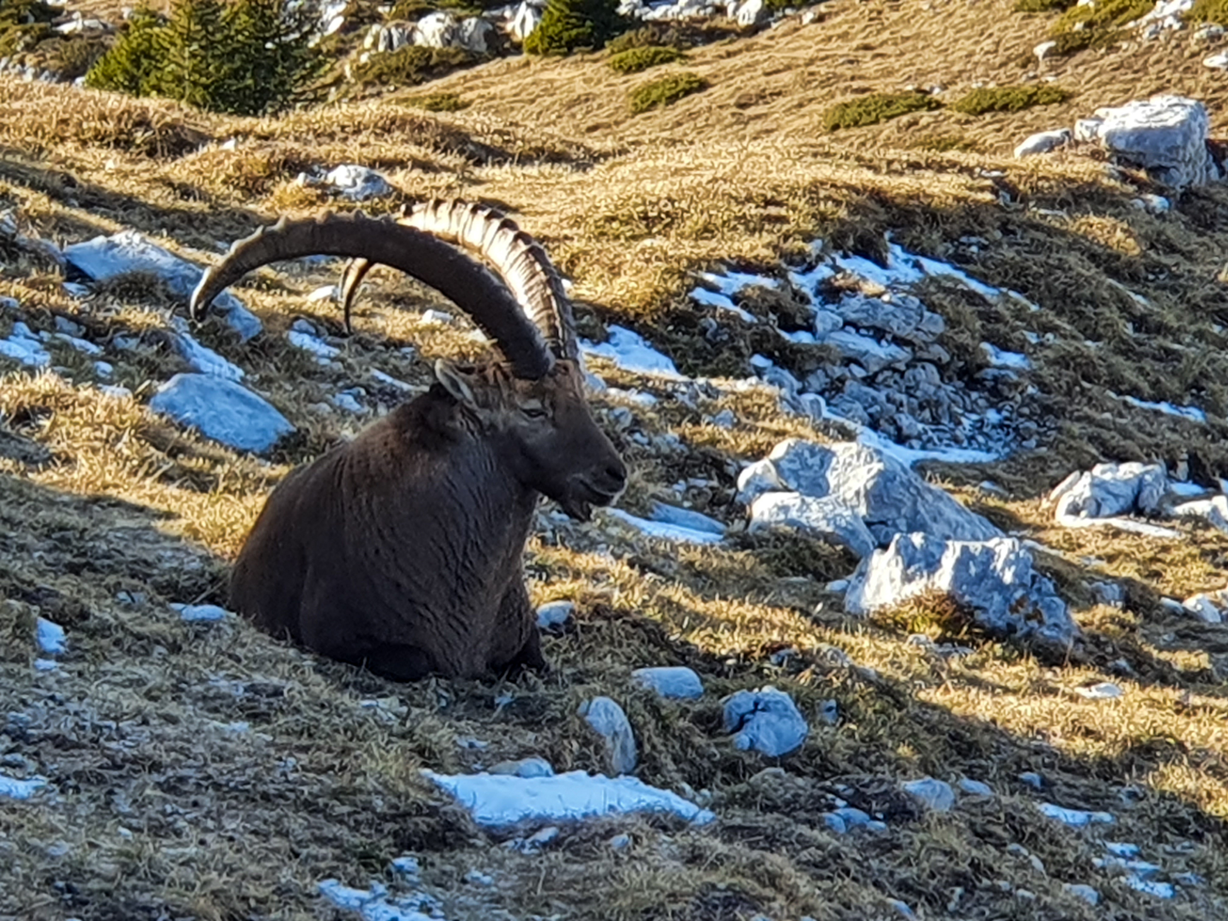 Randonnée Sous-Dine par le Pas du Roc