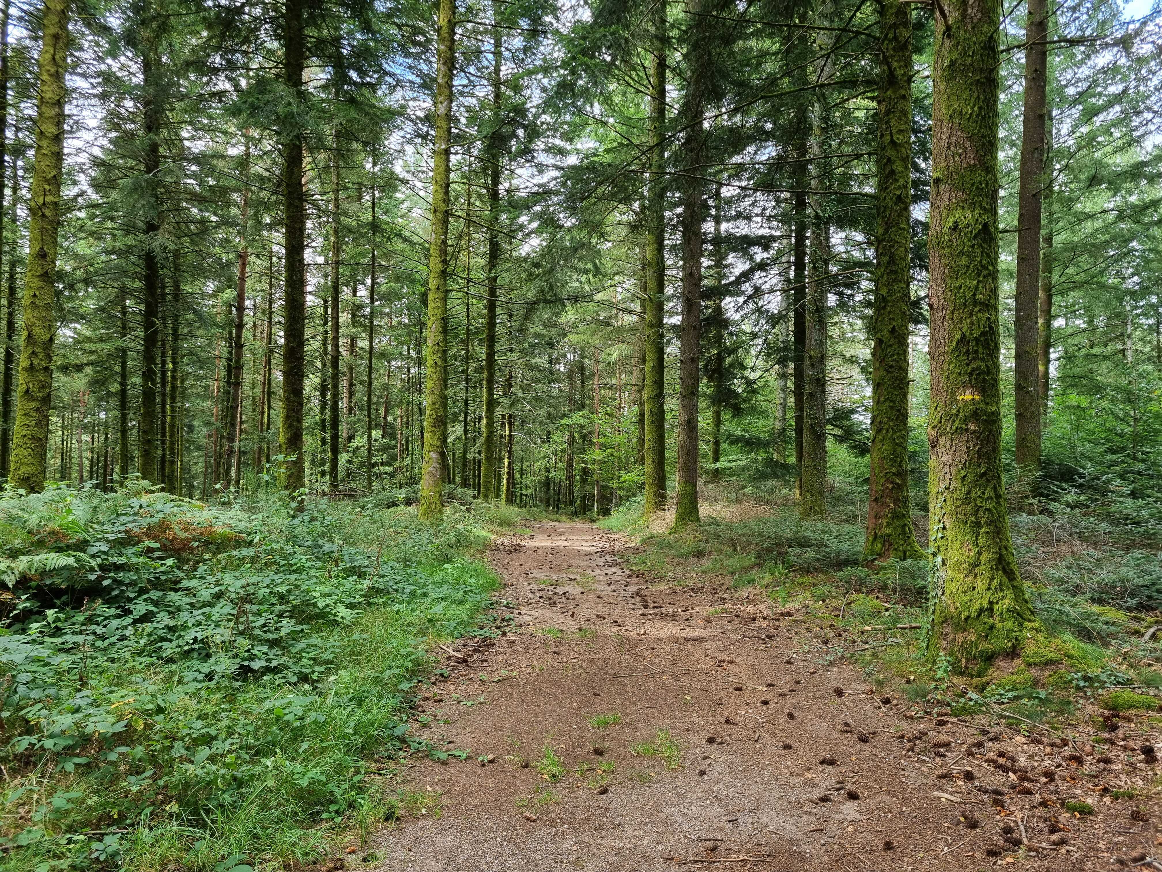 Randonnée Treignac Corrèze Saut du Loup 3