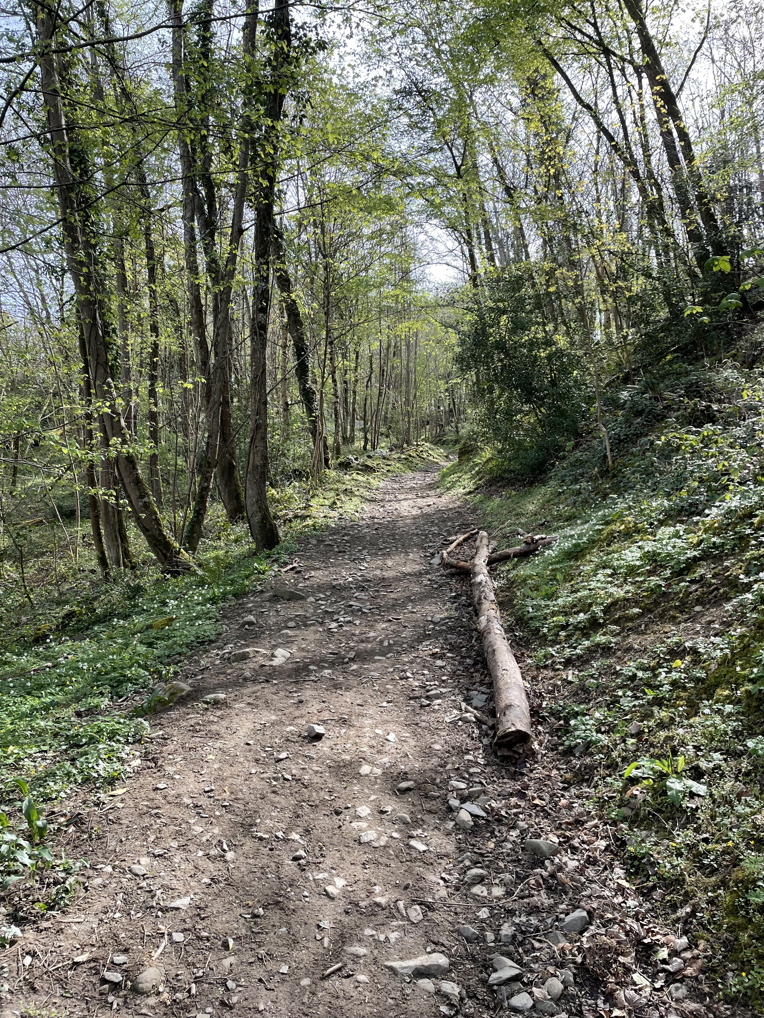 Randonnée VTT Le coupe gorge
