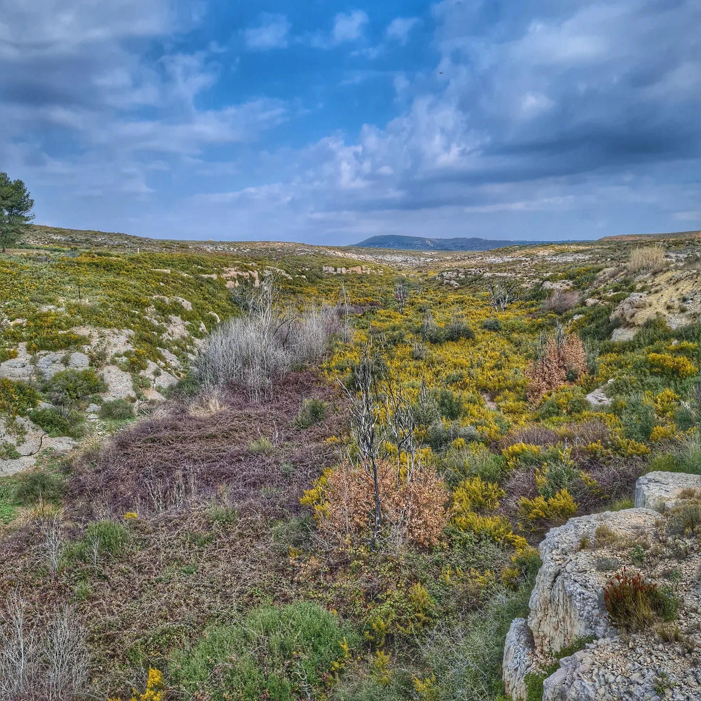 Randonnée et Trail au plateau de Vitrolles