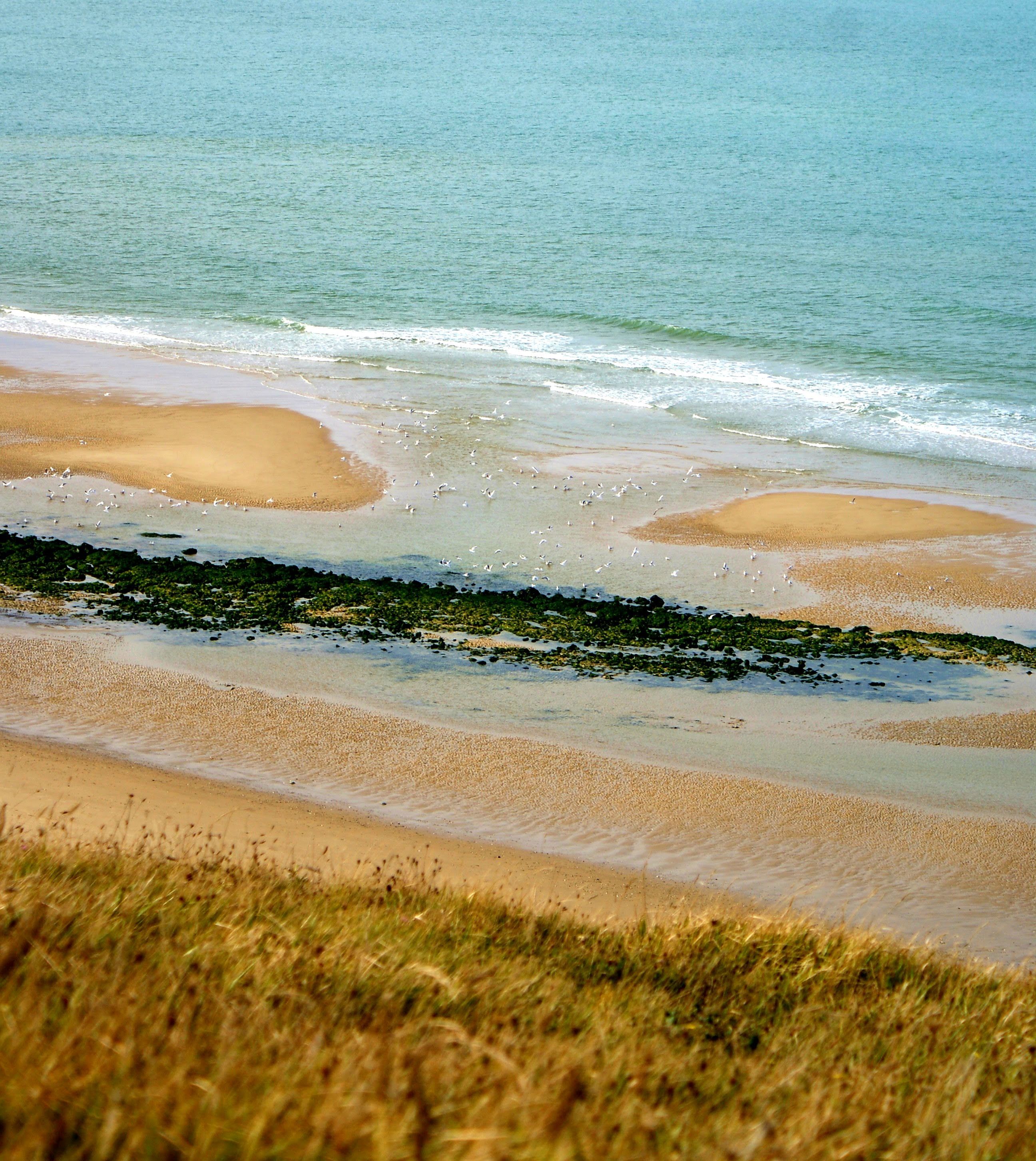 Randonnée et Trail des 2 Caps Escalles
