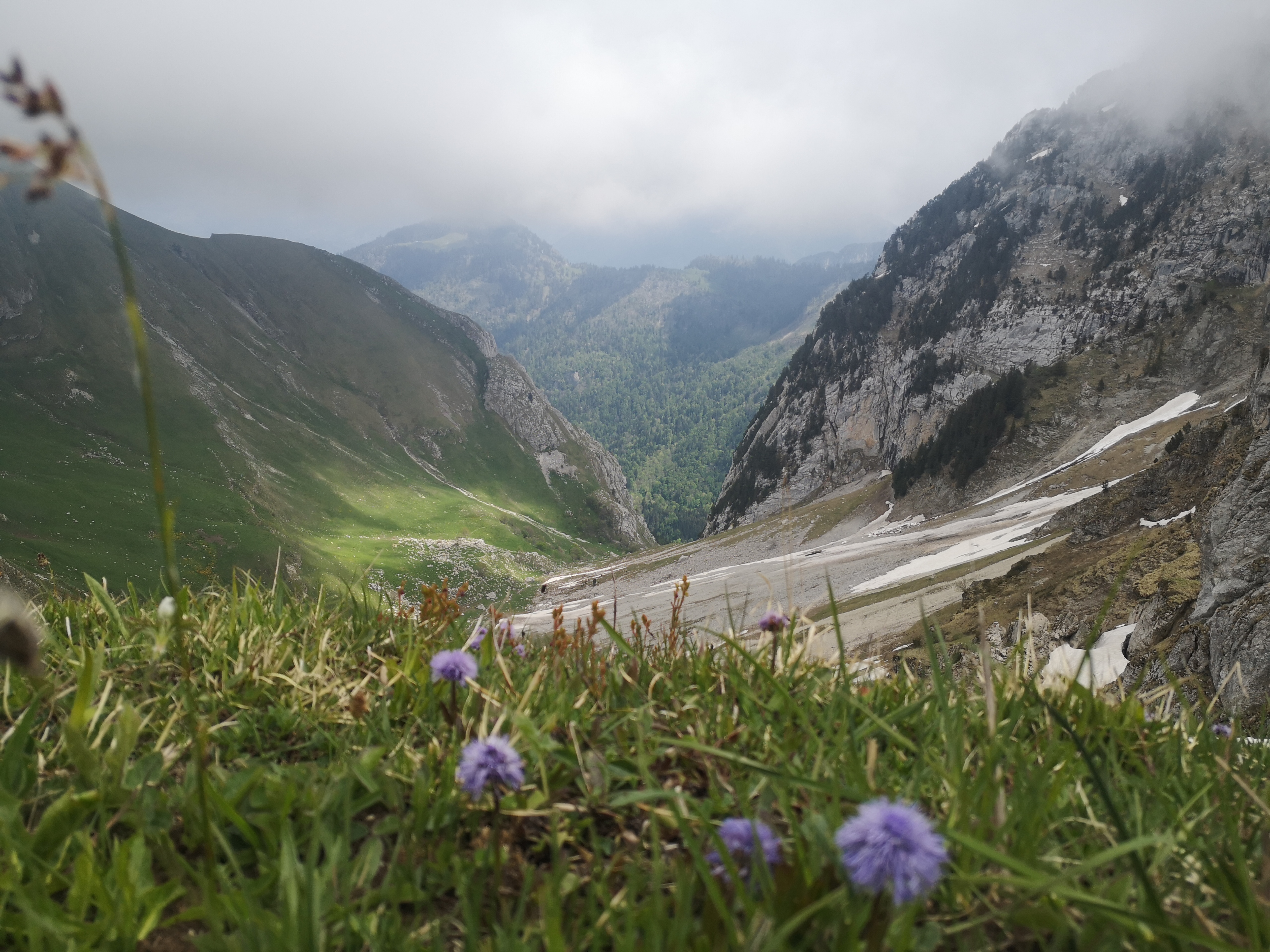 Randonnée le Trélod Bauges