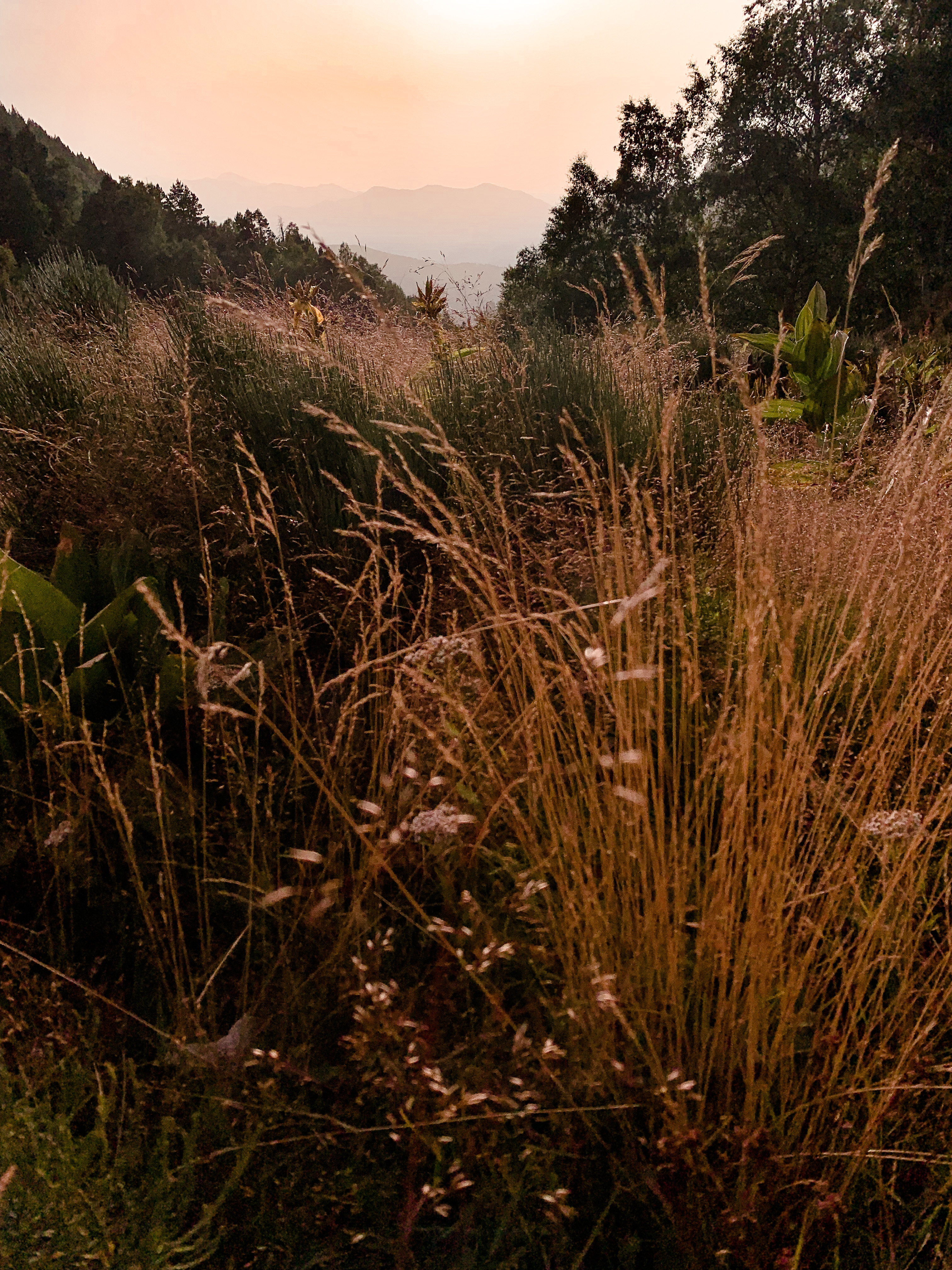 Randonnée sur le GR10 Pyrénées