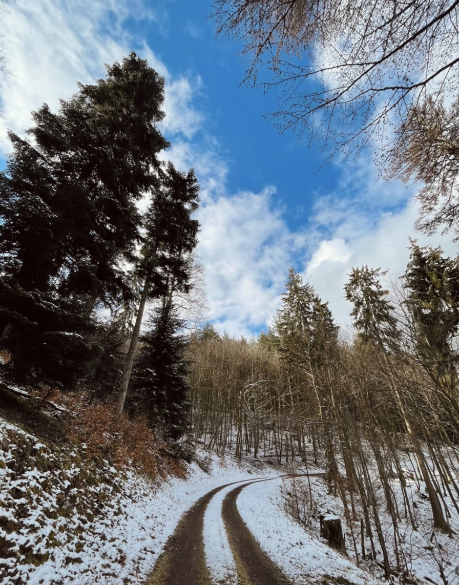 Sentier du Château de Salm