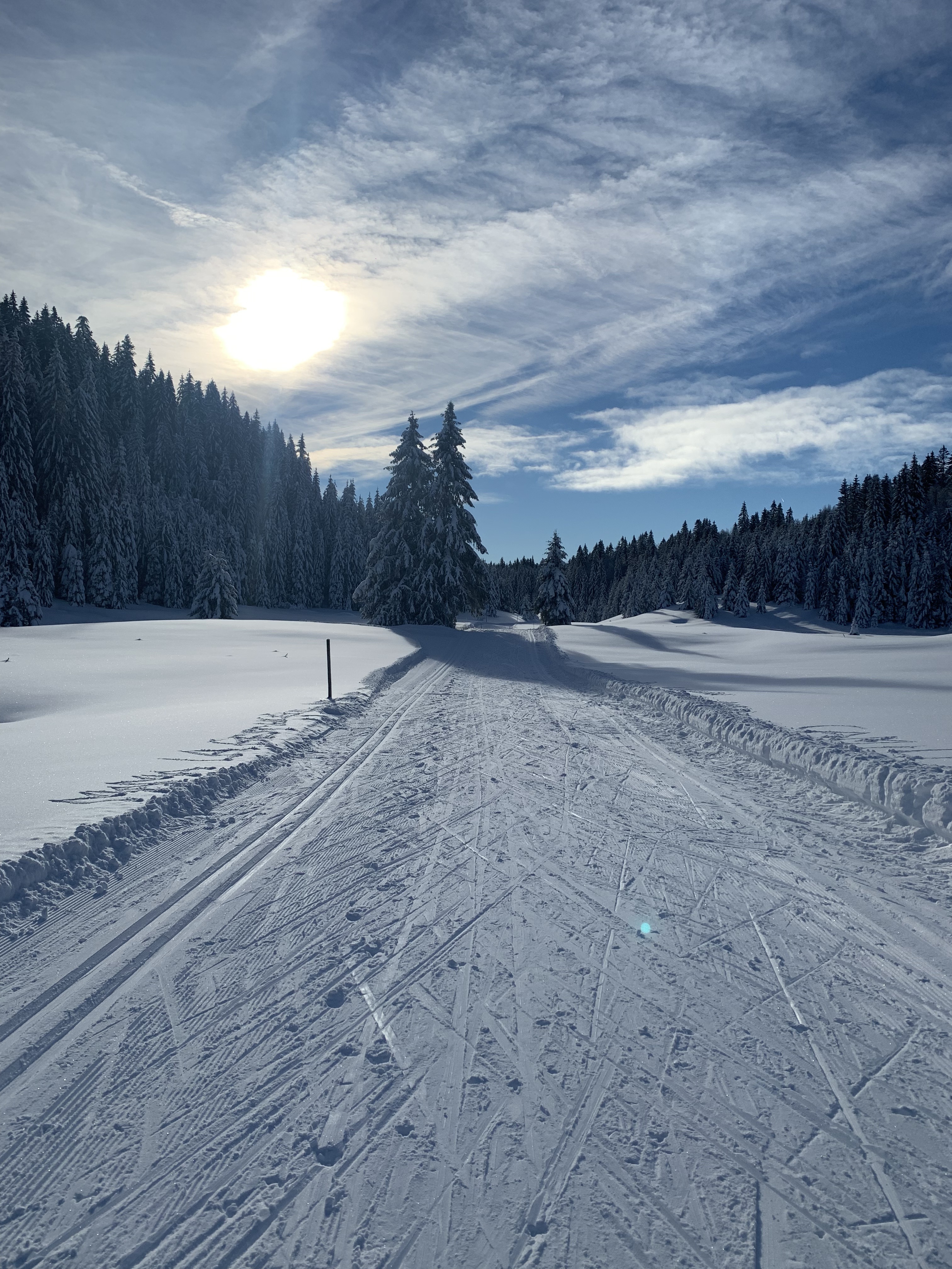 Station de ski de fond La Pesse ski-joering