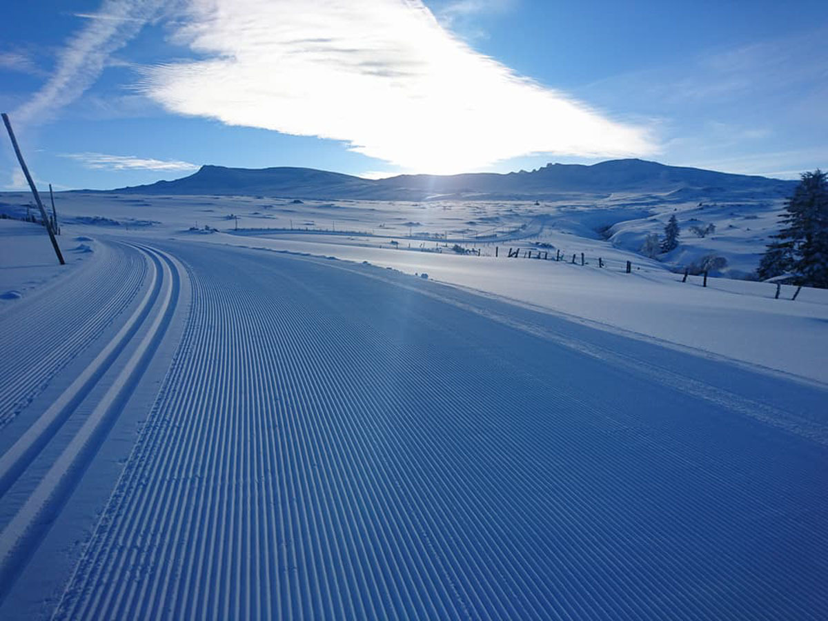 Station de ski de fond Tour d Auvergne la Stèle Sancy