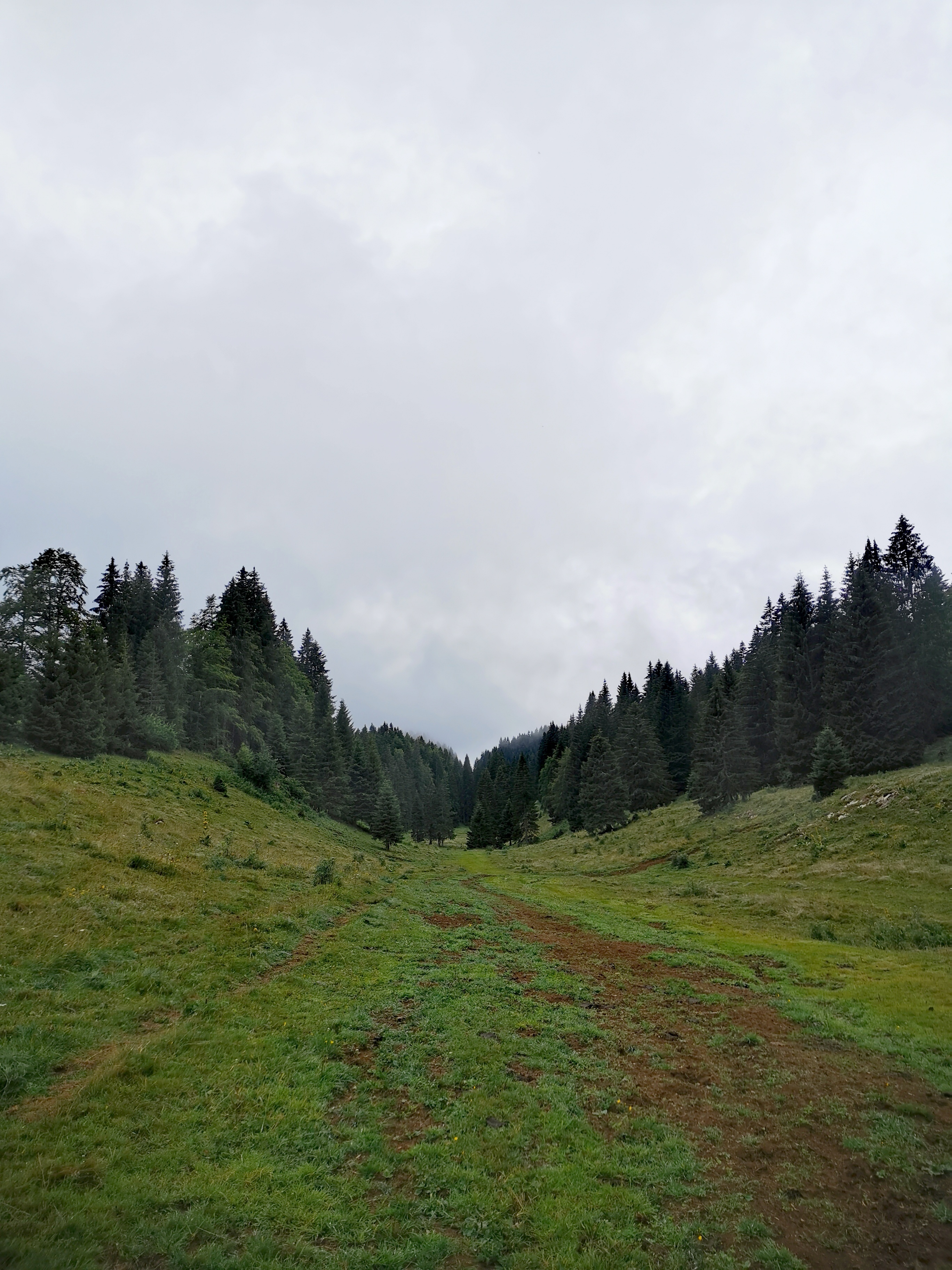 Trail-Sur-le-massif-du-Jura-Le-sentier-des-trois-Combes-vers-le-Cret-de-Chalam.jpeg