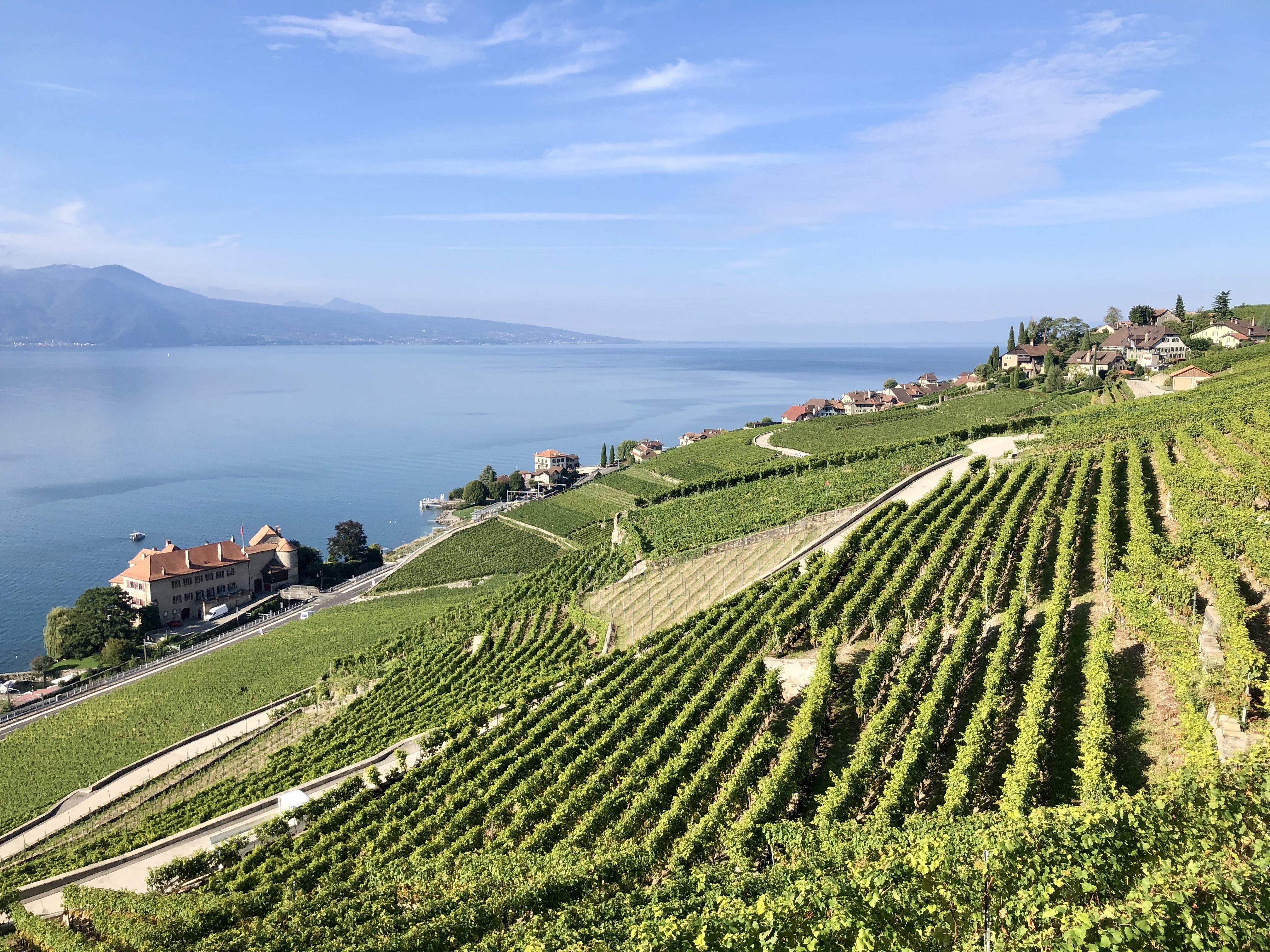 Velo-de-route-dans-les-Lavaux-en-Suisse.jpeg
