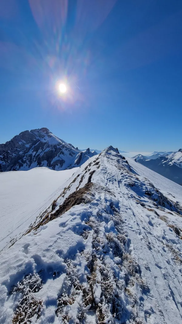 Itinéraire de ski de Randonnée Dent des Portes