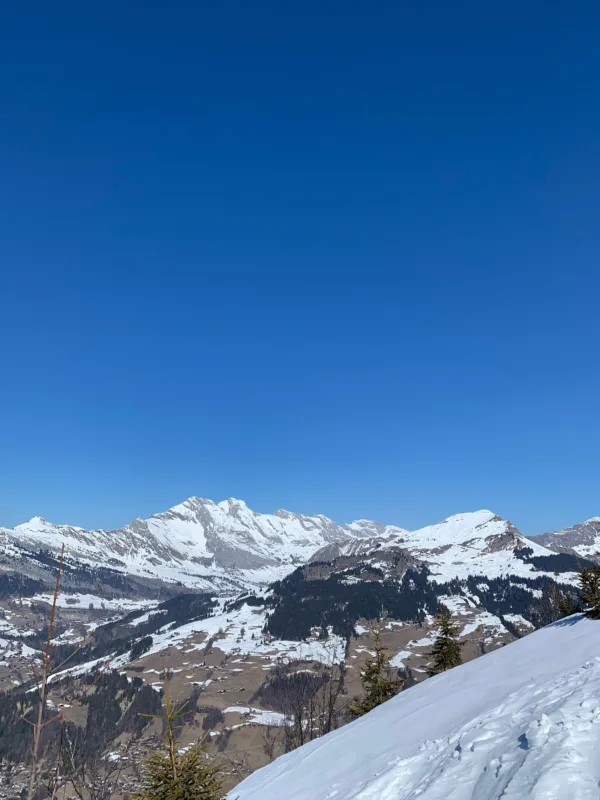 Grand-Bornand Raquettes tête du Danay