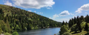 Randonnée vosges tour des trois lacs.jpeg