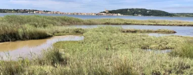 Courir à Gruissan .jpeg