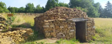 À la découverte des cabornes dans les Monts d'Or