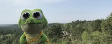 circuit des 25 bosses fontainebleau.jpeg