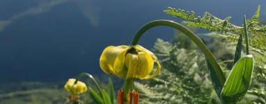 Randonnée Dent d'Orlu