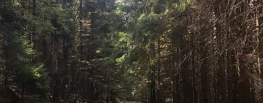 Col du donon Randonnée