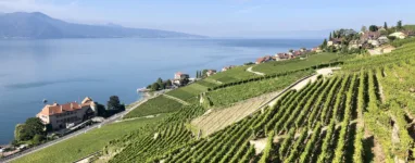 Vélo de route dans les Lavaux, en Suisse