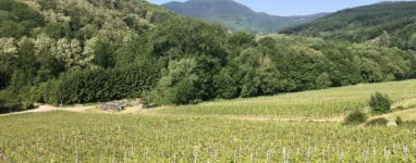 Randonnée Itterswiller