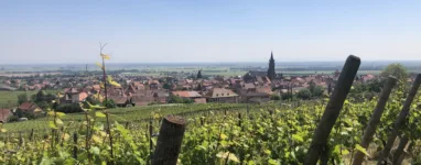 Randonnée Itterswiller