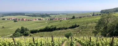 Randonnée Itterswiller